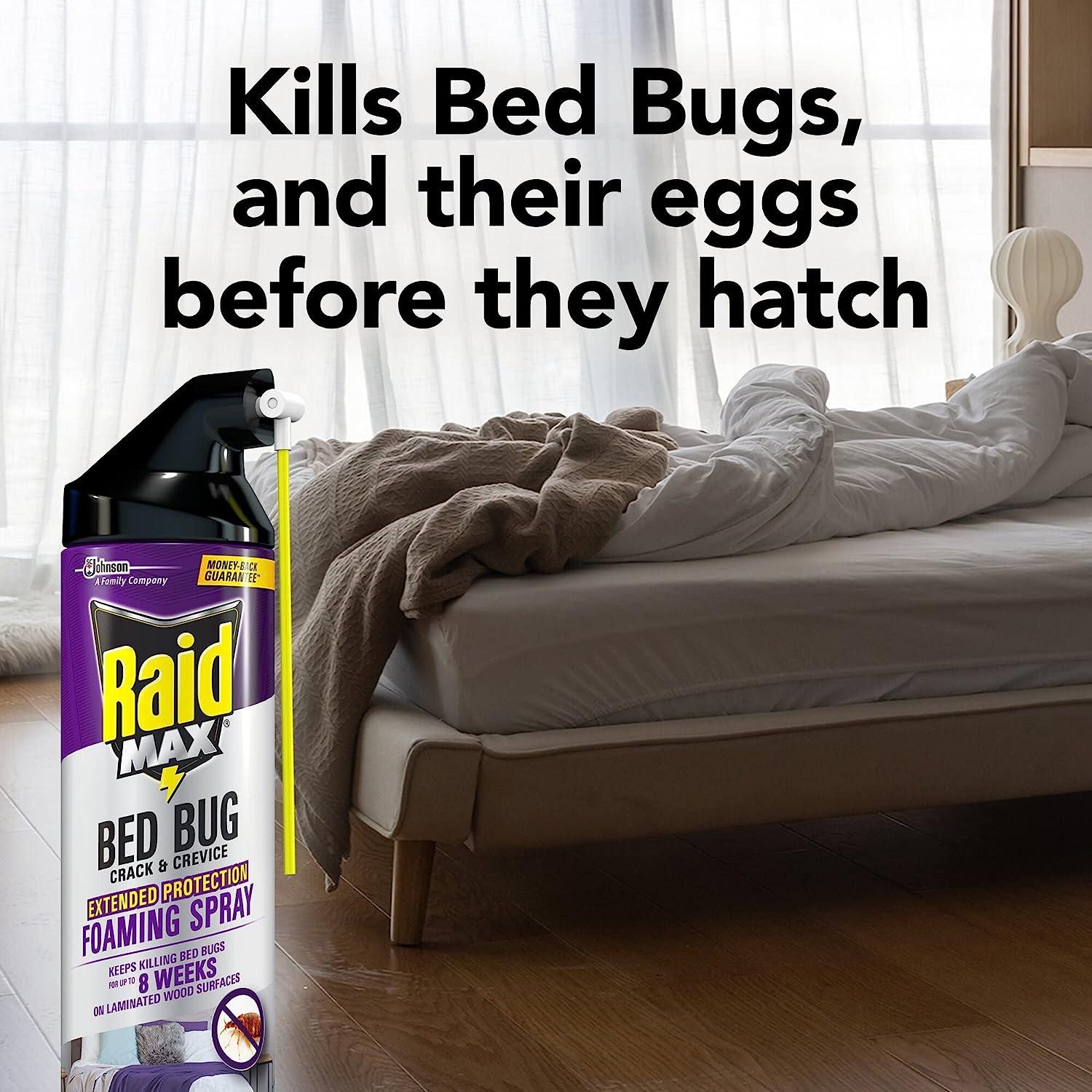 Raid bed bug shop spray