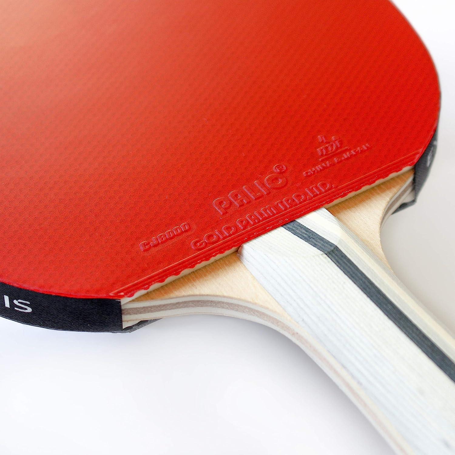 Palio Expert 3.0 Table Tennis Racket & Case ITTF Approved Beginner
