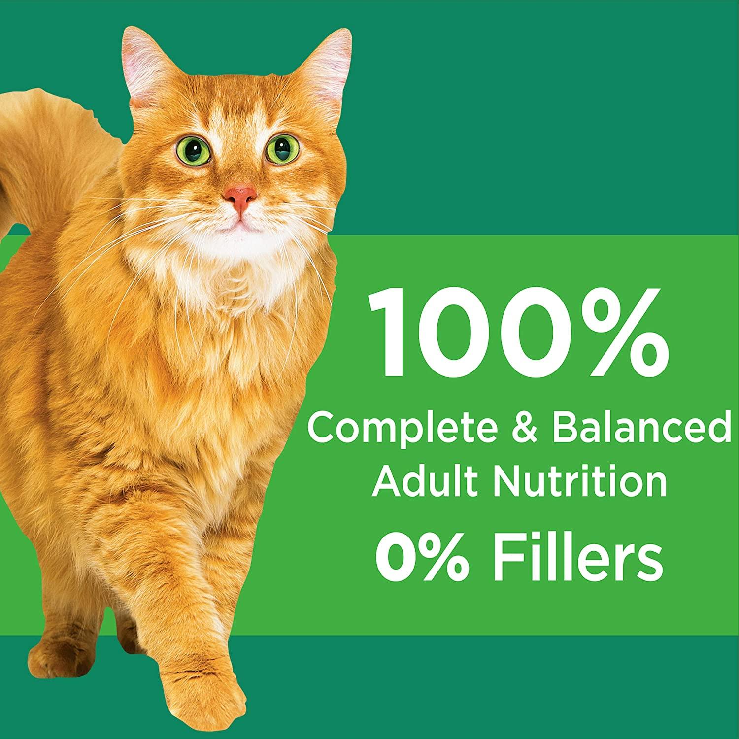 Iams Proactive Health Healthy Senior Dry Cat Food Chicken Flavor