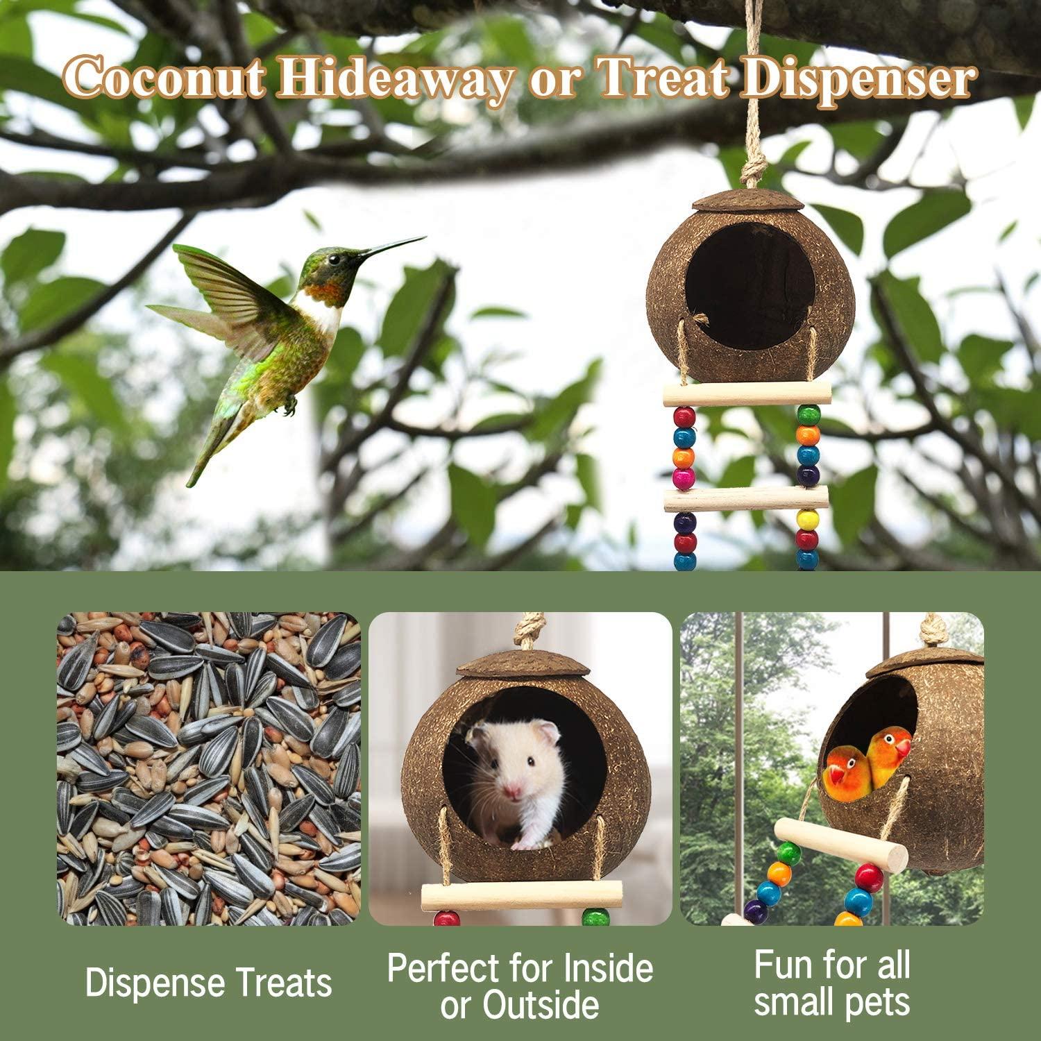 Coconut Bird Nest With Ladder - Natural And Eco-Friendly Bird Cage