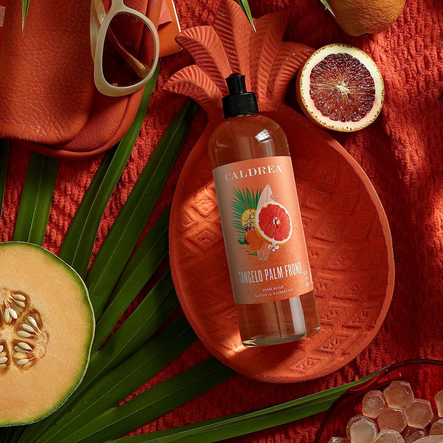 Caldrea Dish Soap, Biodegradable Dishwashing Liquid made With Soap Bark