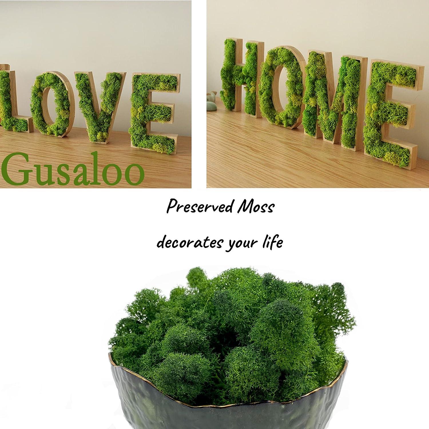 3 Sq. Ft Preserved Moss for Potted Plants Green Moss for Crafts Floral Moss  Decorative Moss for Table Decor DIY Wall Art Kit Terrariums Gardening  Florist Wedding Projects, 3 Colors : Buy