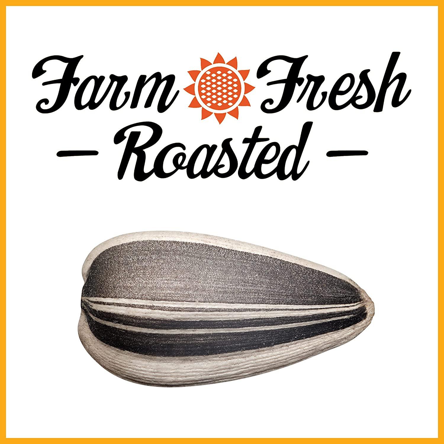 Wild Dutchman Roasted Sunflower Seeds Mouth Friendly Recipe for All