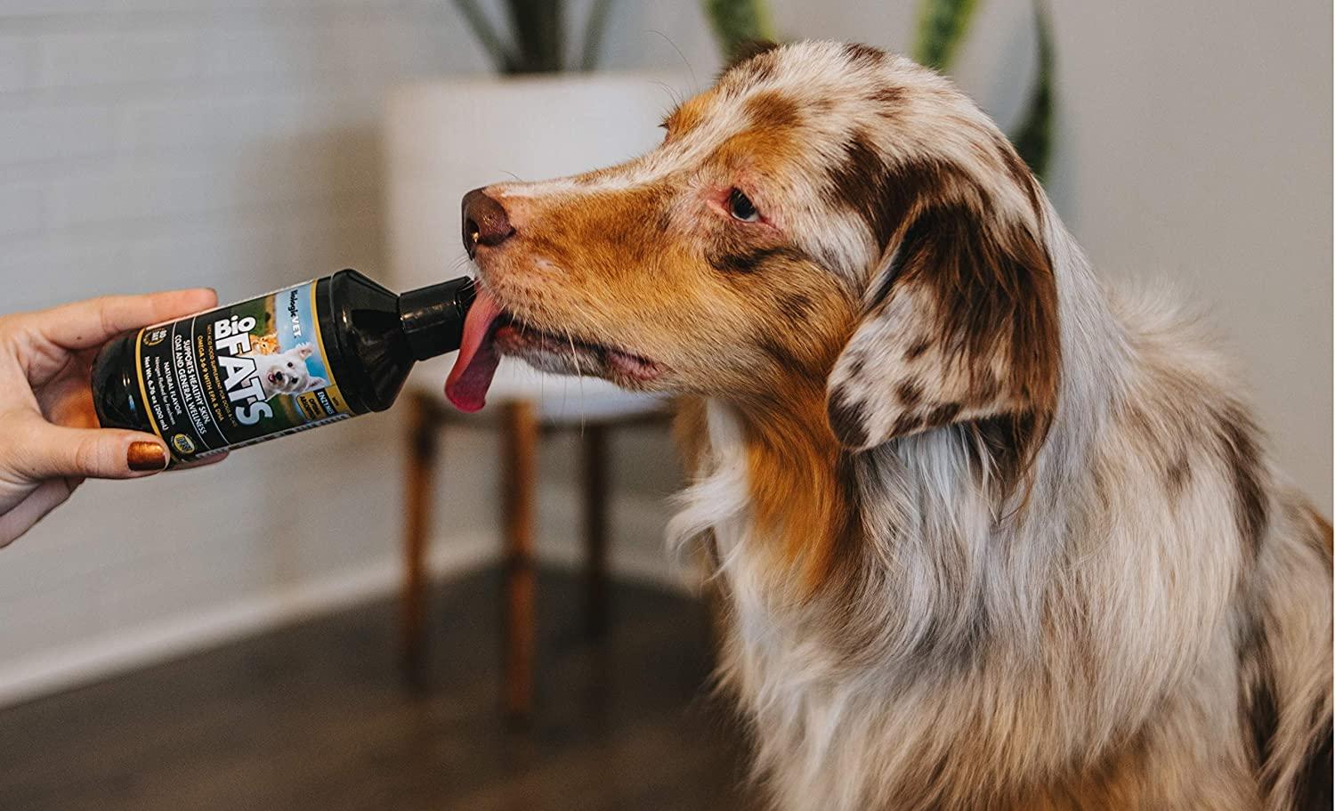 BiologicVET BioFATS Omega 369 Fatty Acid for Dogs and Cats, Liquid 12