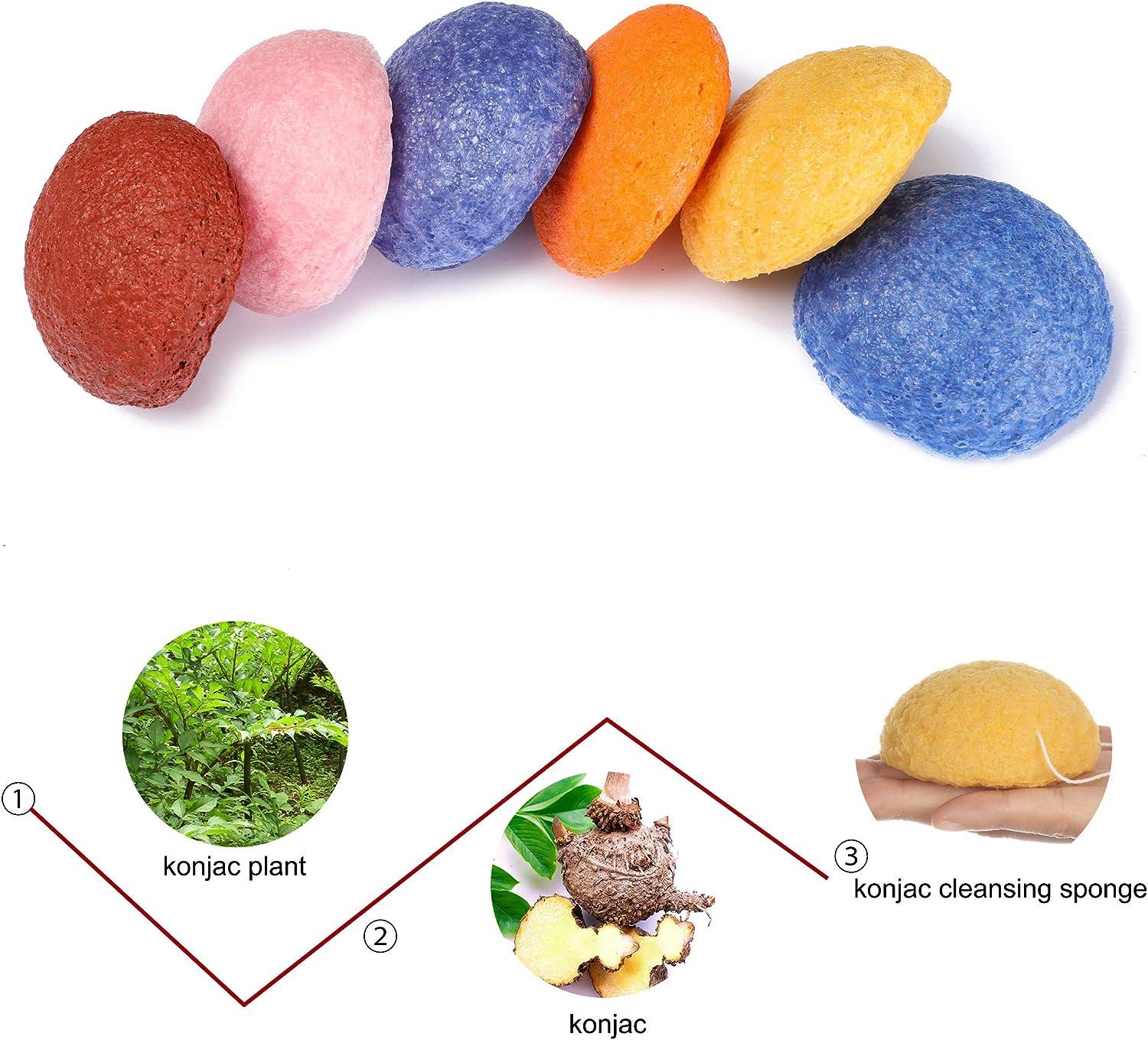 6pc. Natural Konjac Facial Sponges Gentle Face Cleansing and
