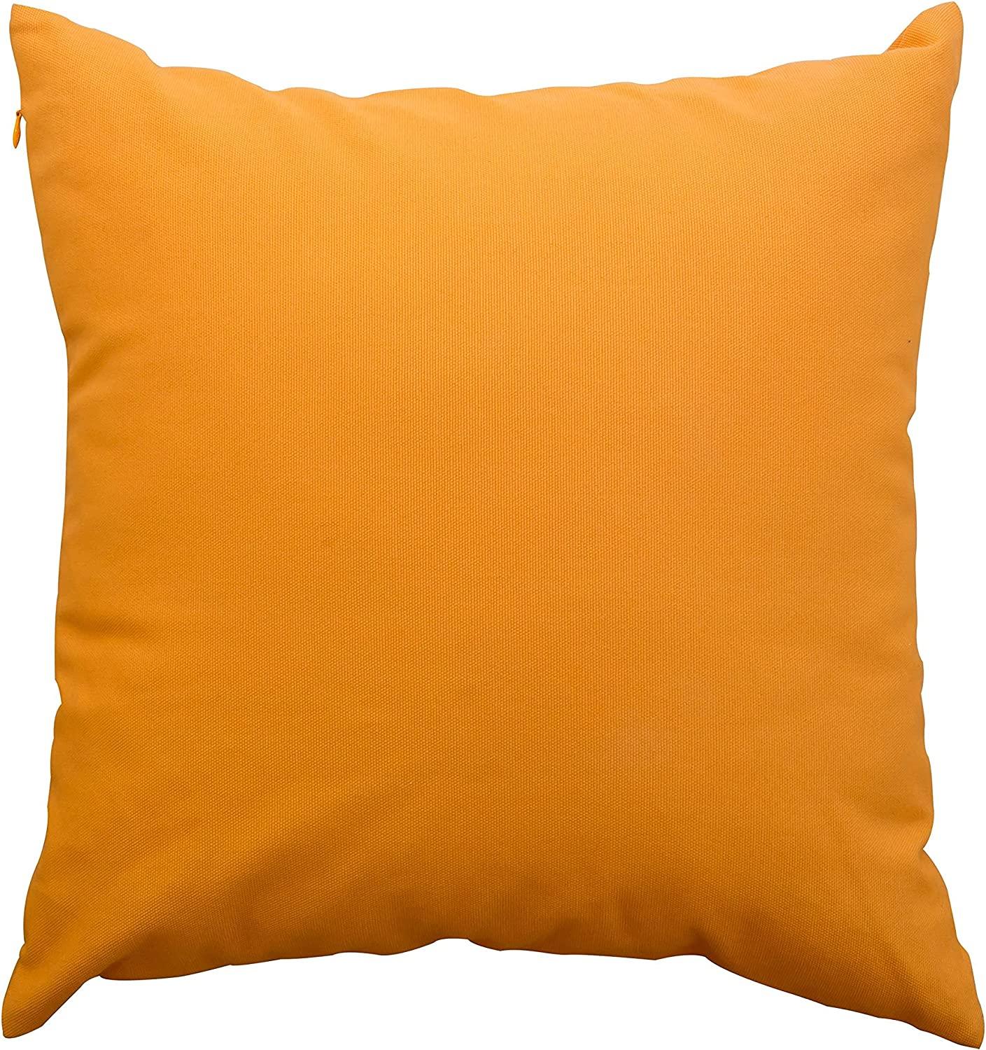 Scotchgard OXY Pet Carpet & Fabric Stain Remover 26oz Powerful Spot