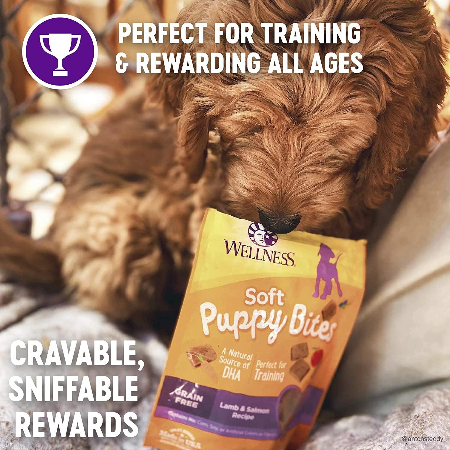 Grain free soft dog treats hotsell