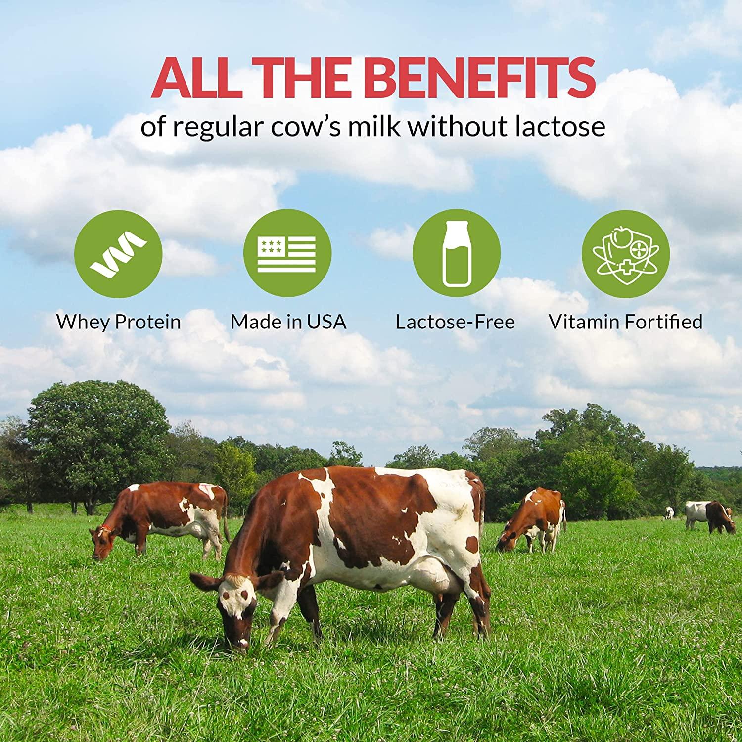 Hester FARM Lactose Free Whey Milk Powder, Lactose Free Milk Product