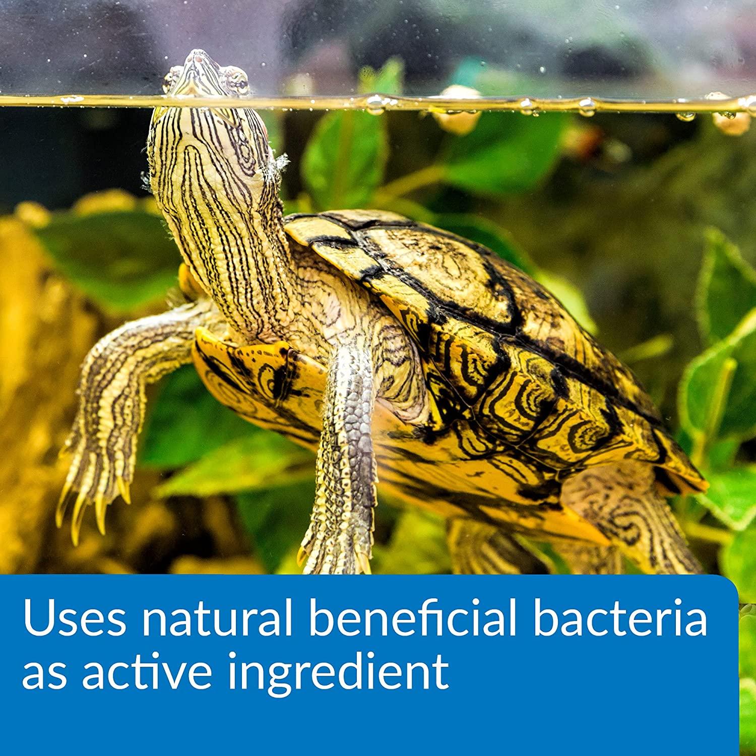 API Turtle Products Sludge Remover to Clean Aquarium, Water