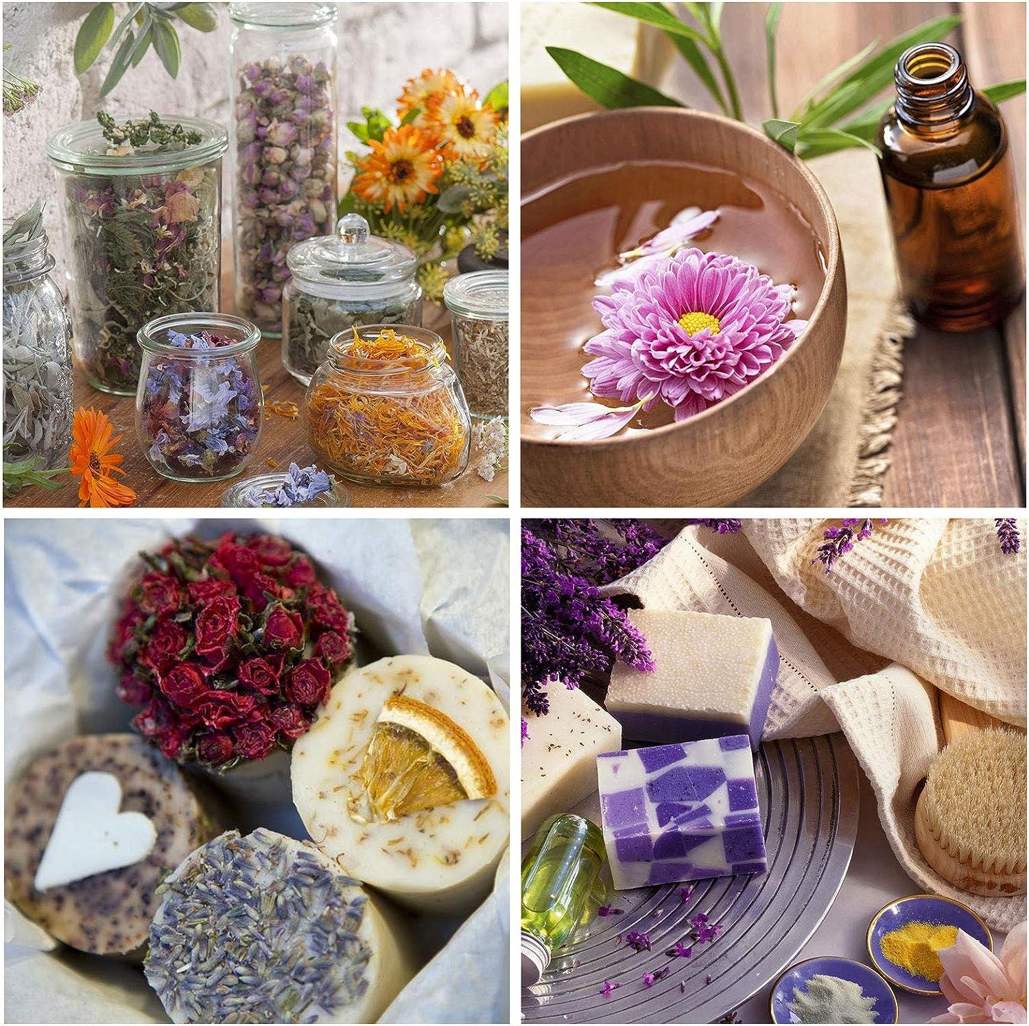 TAEERY Dried Flowers for Soap Making Scents Kits,DIY Soap/Candle Making  Supplies Set- Include Dried Lavender, Rose Petals, Lily Flower,Colorful  Chrysanthemum, Forget-me-not and More