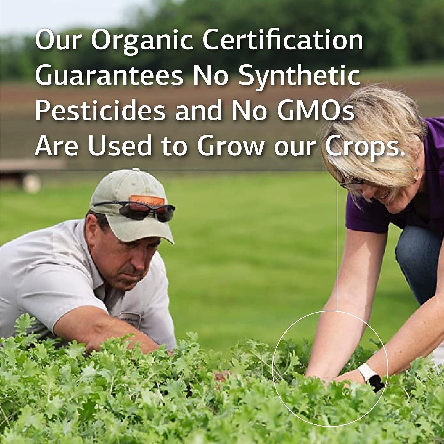 Standard Process OPC Synergy Whole Foods Cognitive Health Brain