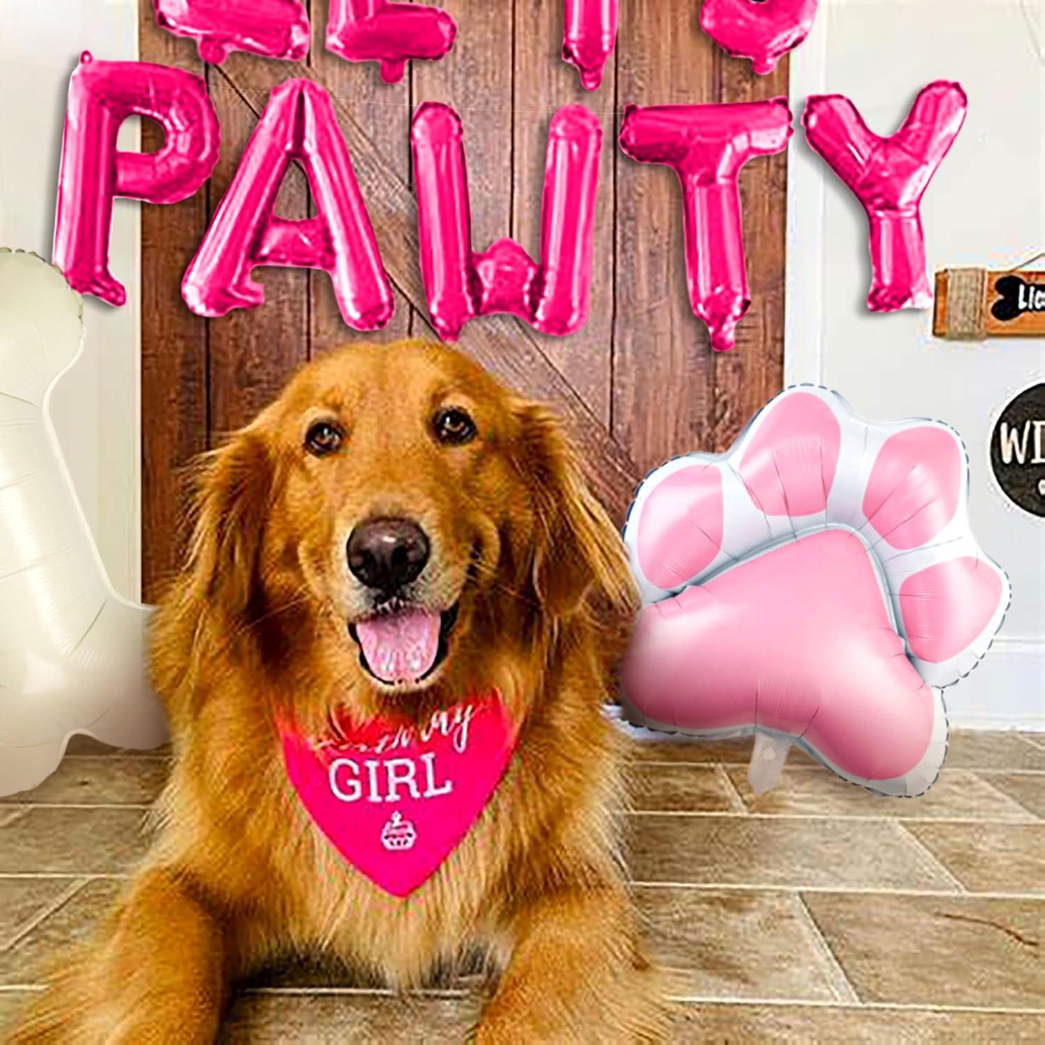 Kit Ghirlanda Palloncini Per Compleanno Cane JeVenis - Let's Pawty, Decorazioni Blu Con Ossa E Zampe