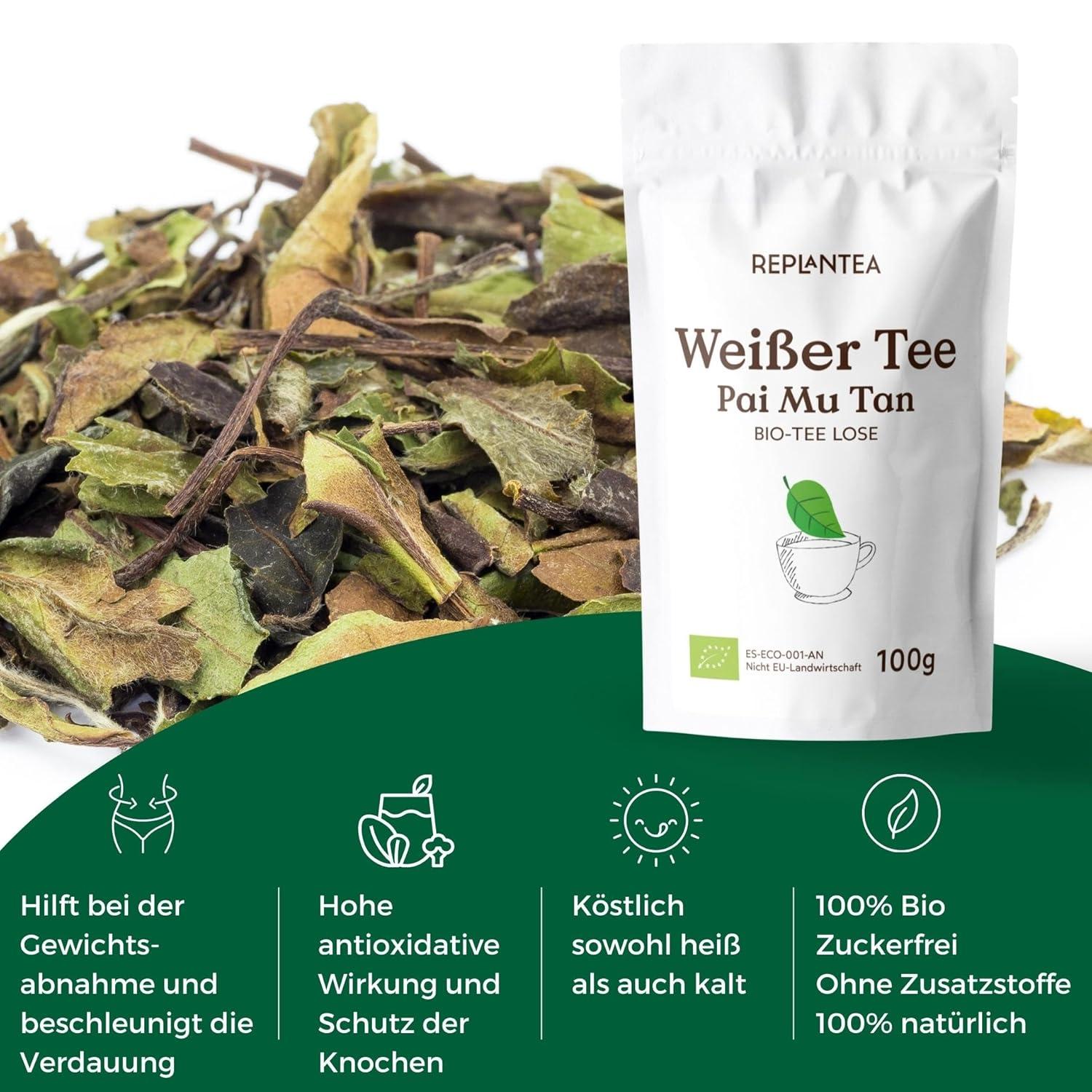 White Peony - King Grade | Bai Mu Dan | Spring 2025 | Fujian