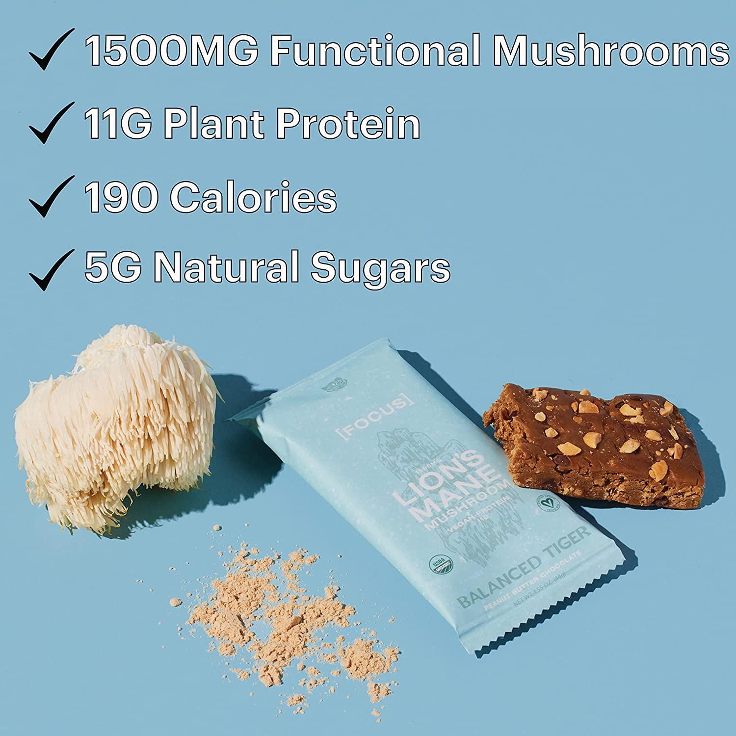 Full Dose Vegan Protein Bars with Functional Mushrooms Lions Mane