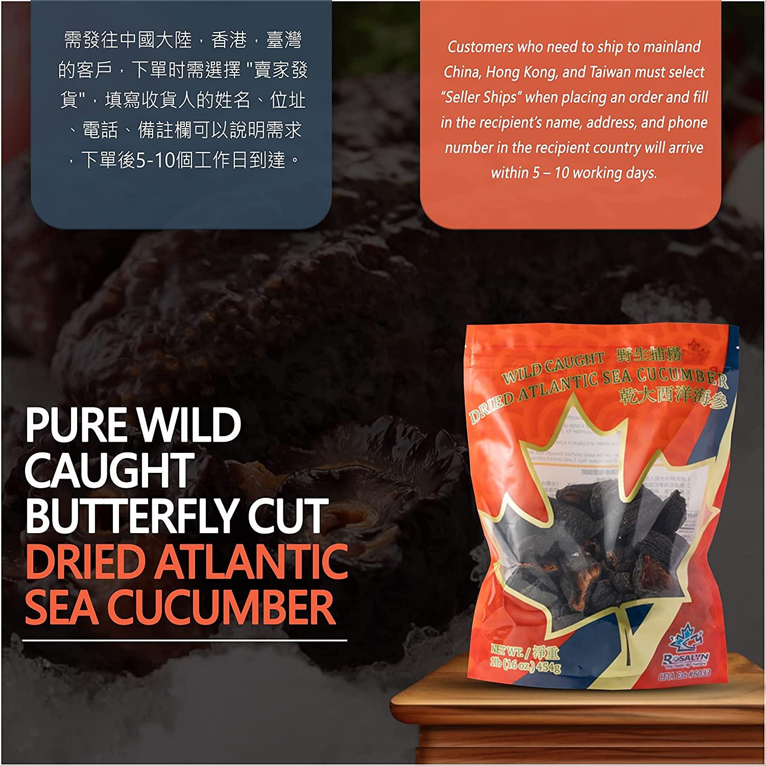 ROSALYN Premium Atlantic Canada Wild Caught Sea Cucumber Dried CFIA Certified High Protein