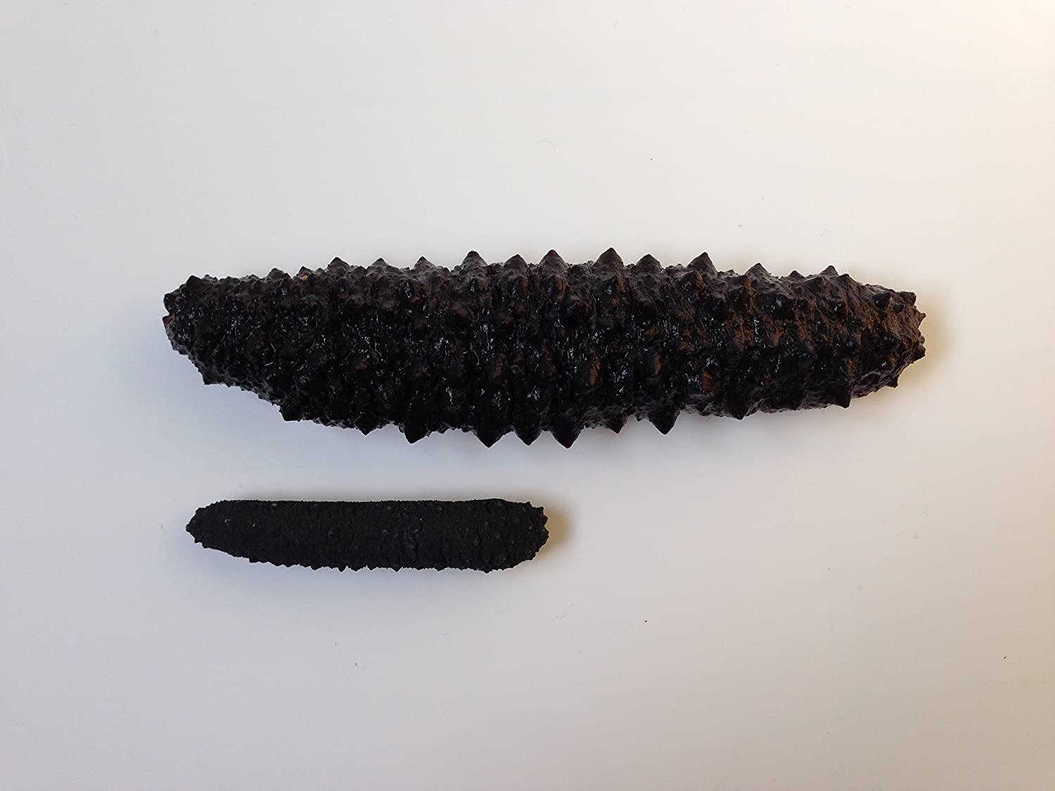 Wild Black Pin Atlantic Dried Sea Cucumber, 8oz Pack Premium Quality