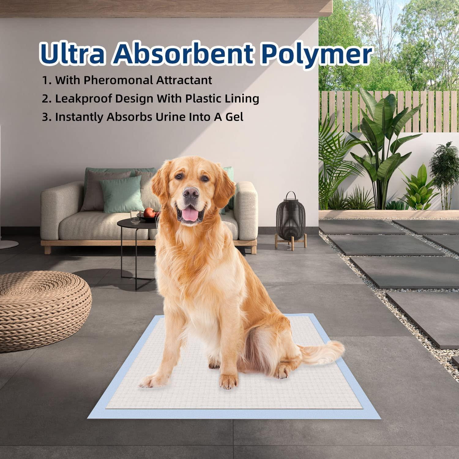 HONEY CARE AllAbsorb Dog Pee Pads 22" x 23" (Pack of 14), Ultra Absorbent and Odor Eliminating
