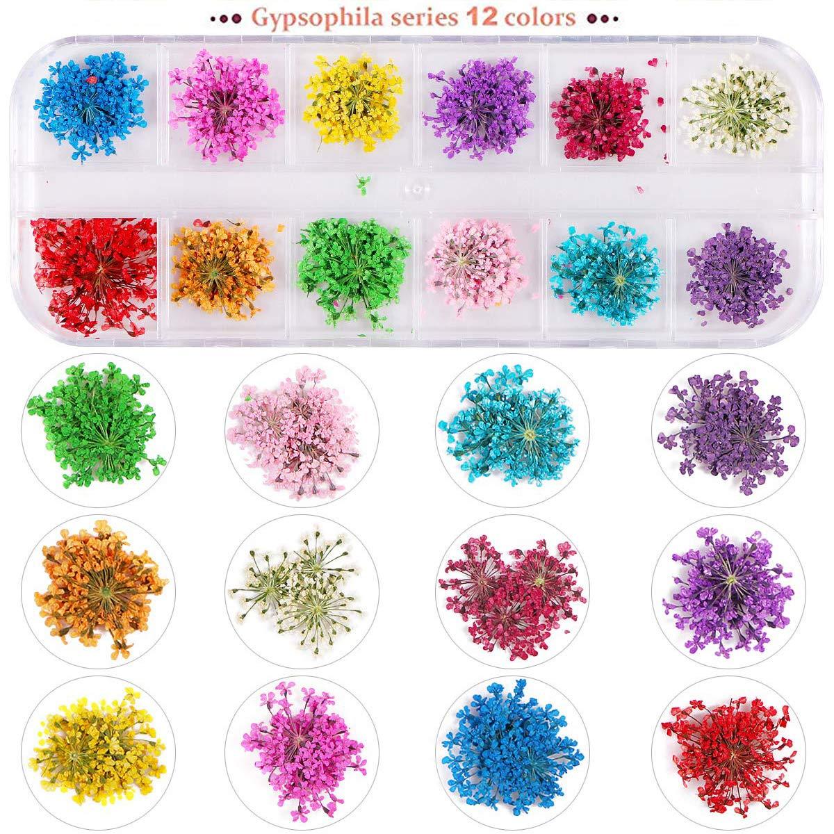 Colorful Dried Flowers for Nail Art Decoration DIY Acrylic UV Gel Tips  Design Case with 24 Colors (Type A Gypsophila)