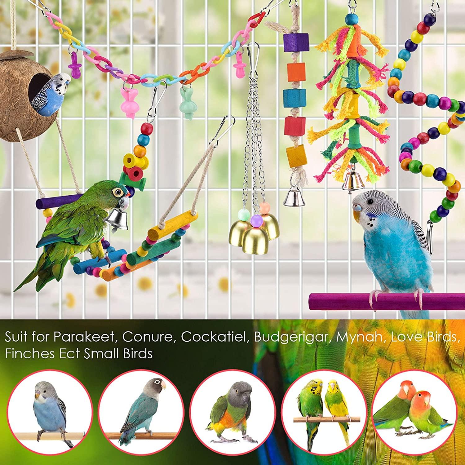 KATUMO Bird Toys, Natural Coconut Bird House with Colorful Ladder