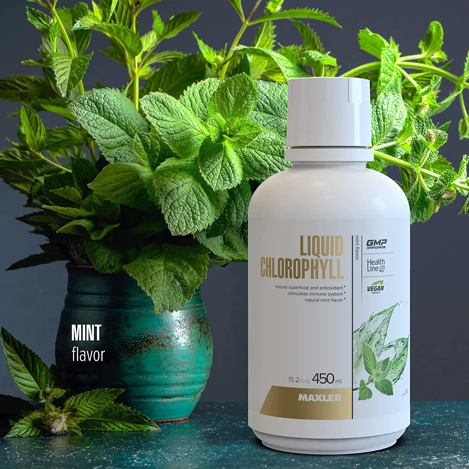 Maxler Chlorophyll Liquid Mint Flavor Internal Deodorant for Body
