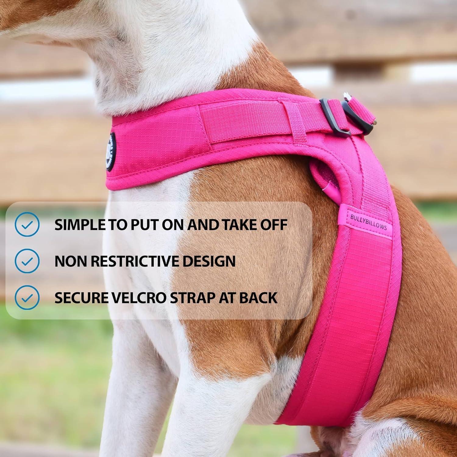 BullyBillows Boomerang Harness Lightweight Non-Restrictive Dog