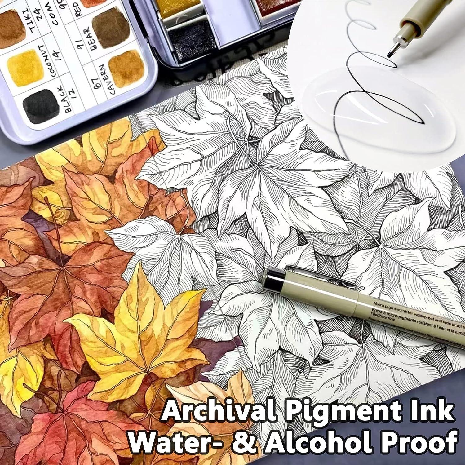 Micro Fineliner Drawing Art Pens: 12 Black Fine Line Waterproof Ink Set  Artist Supplies Archival Inking Markers Liner Professional Sketch Outline