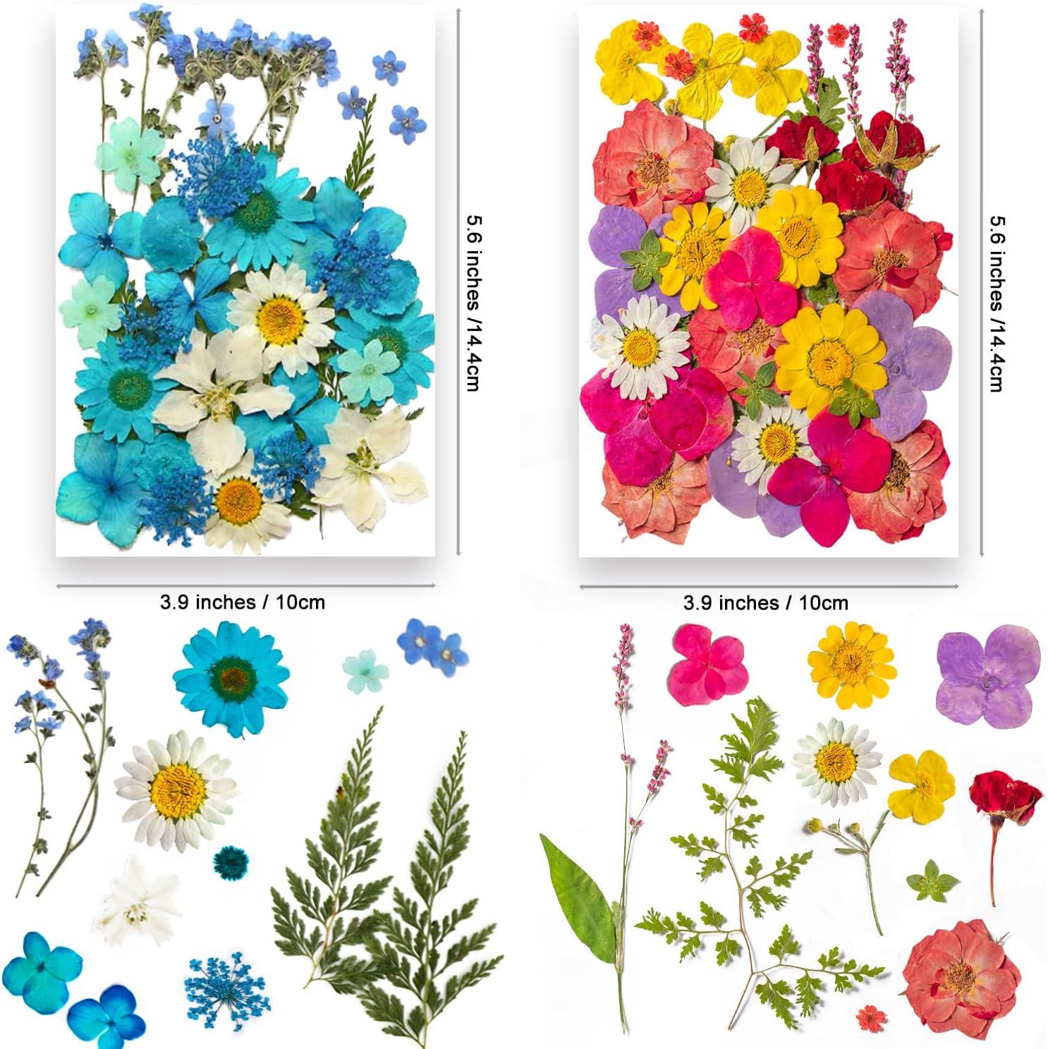 141PCS Real Nature Dried Pressed Flowers for Resin Mold Dry