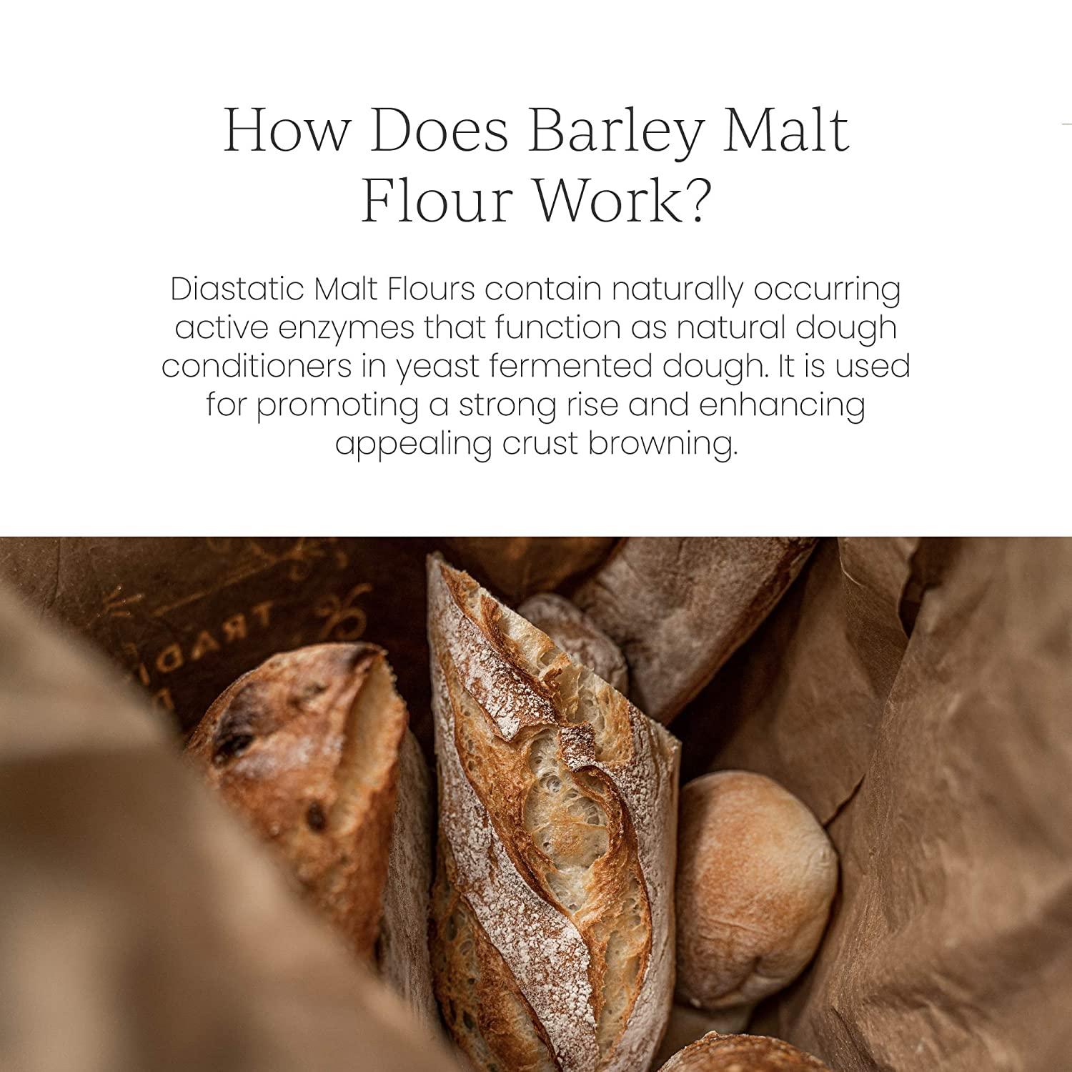 Breadtopia Organic Diastatic Malt Powder 8 oz. NonGMO Malted Barley