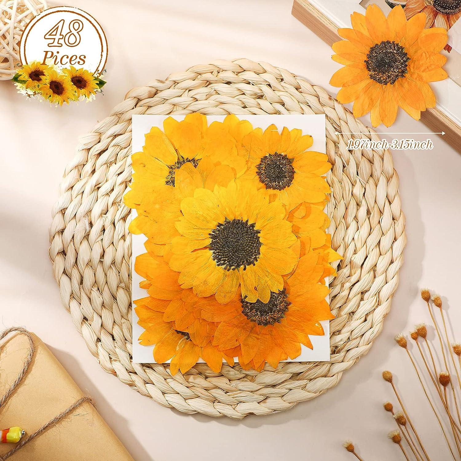 Daisy Dried Flower Natural Sunflower DIY Epoxi Resin Mold Home