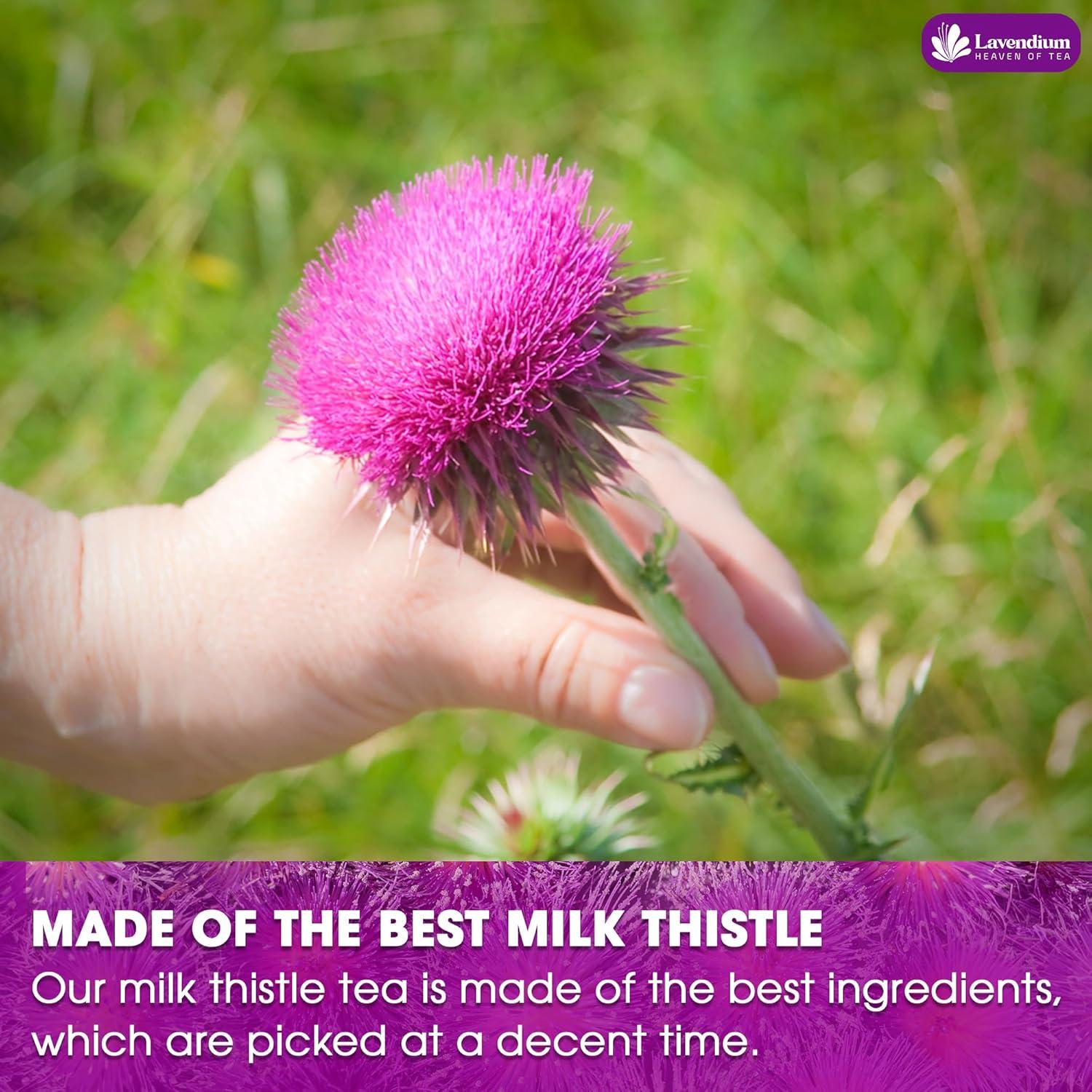 milk thistle tea images
