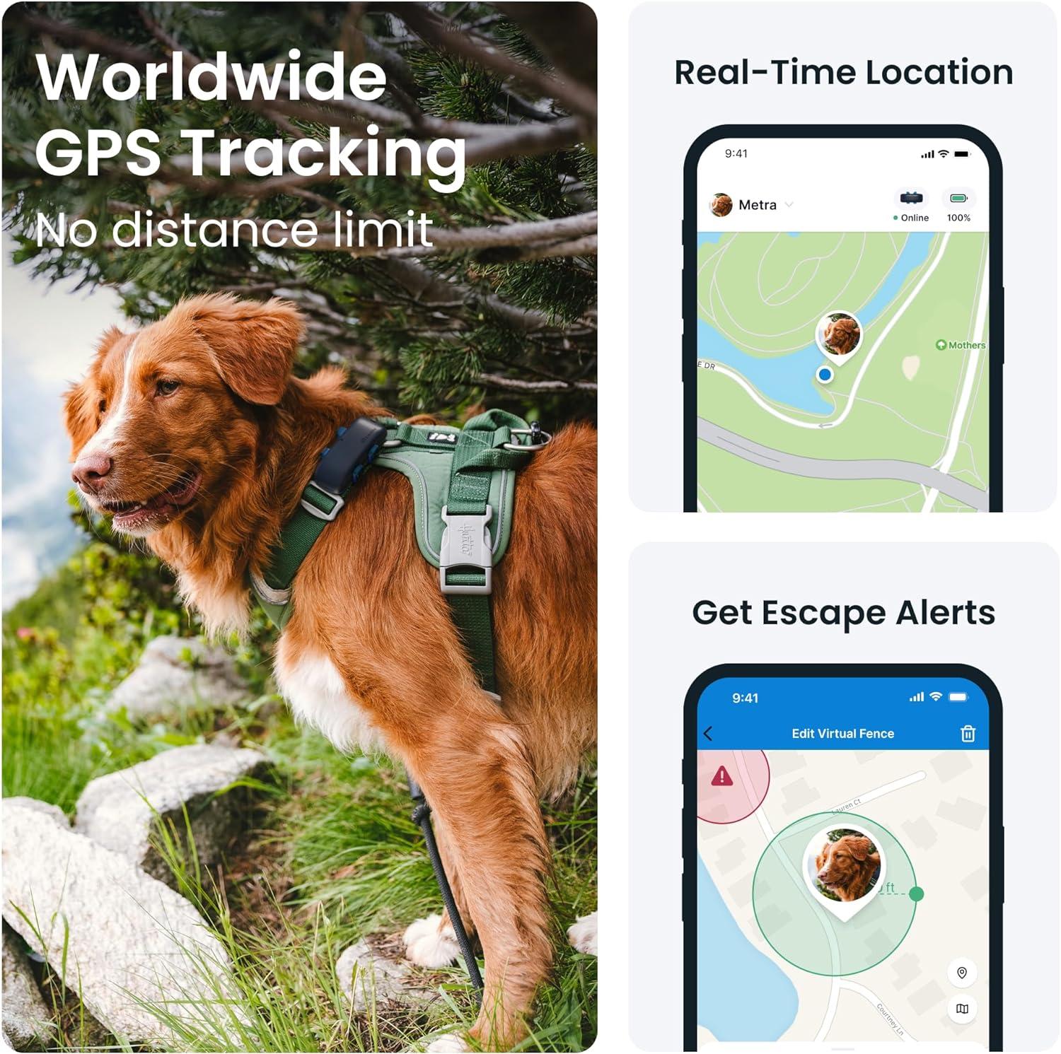 Tractive – Collier GPS pour chien | 2025 Édition | Leader du arché