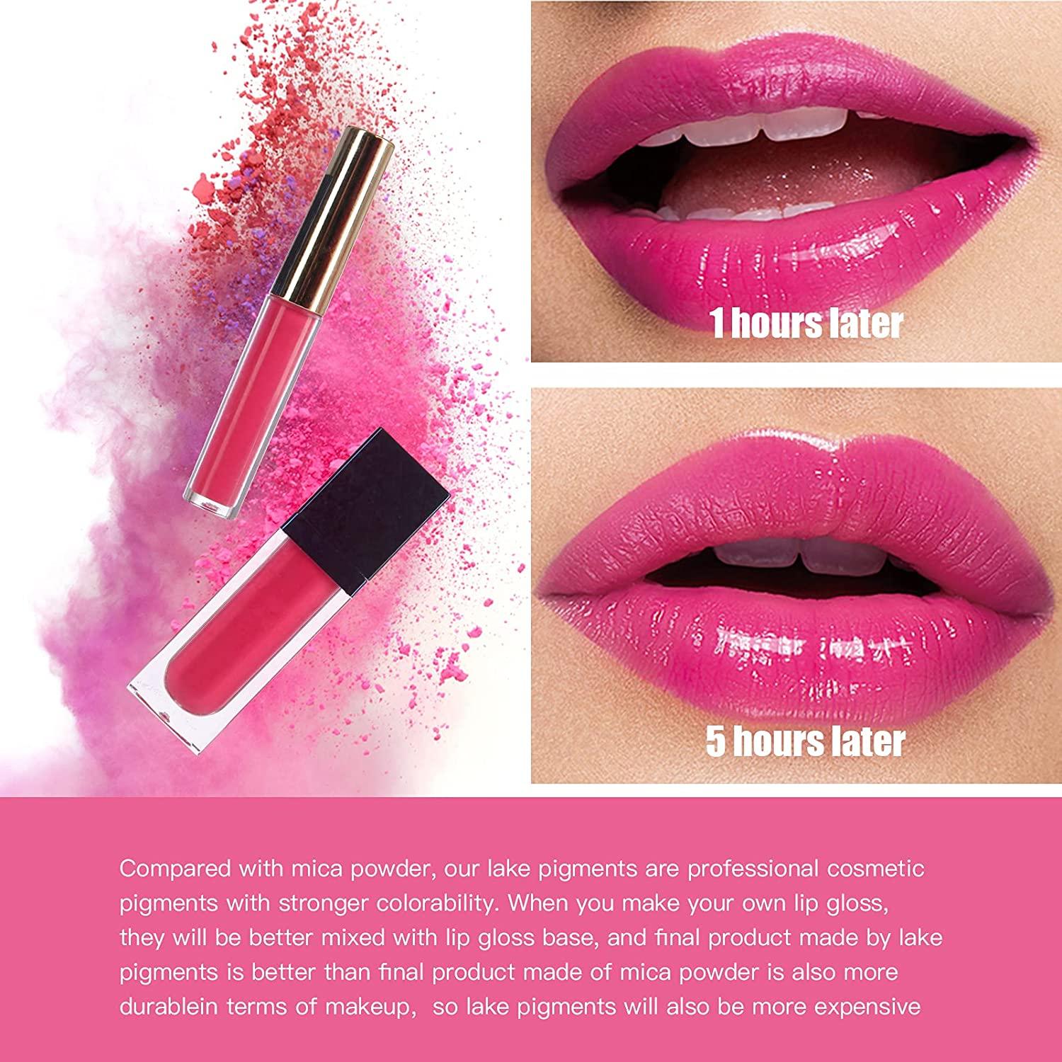 PARAMISS Lip Gloss Pigment Powder Natural Lip Dye 5 Colors x 10G