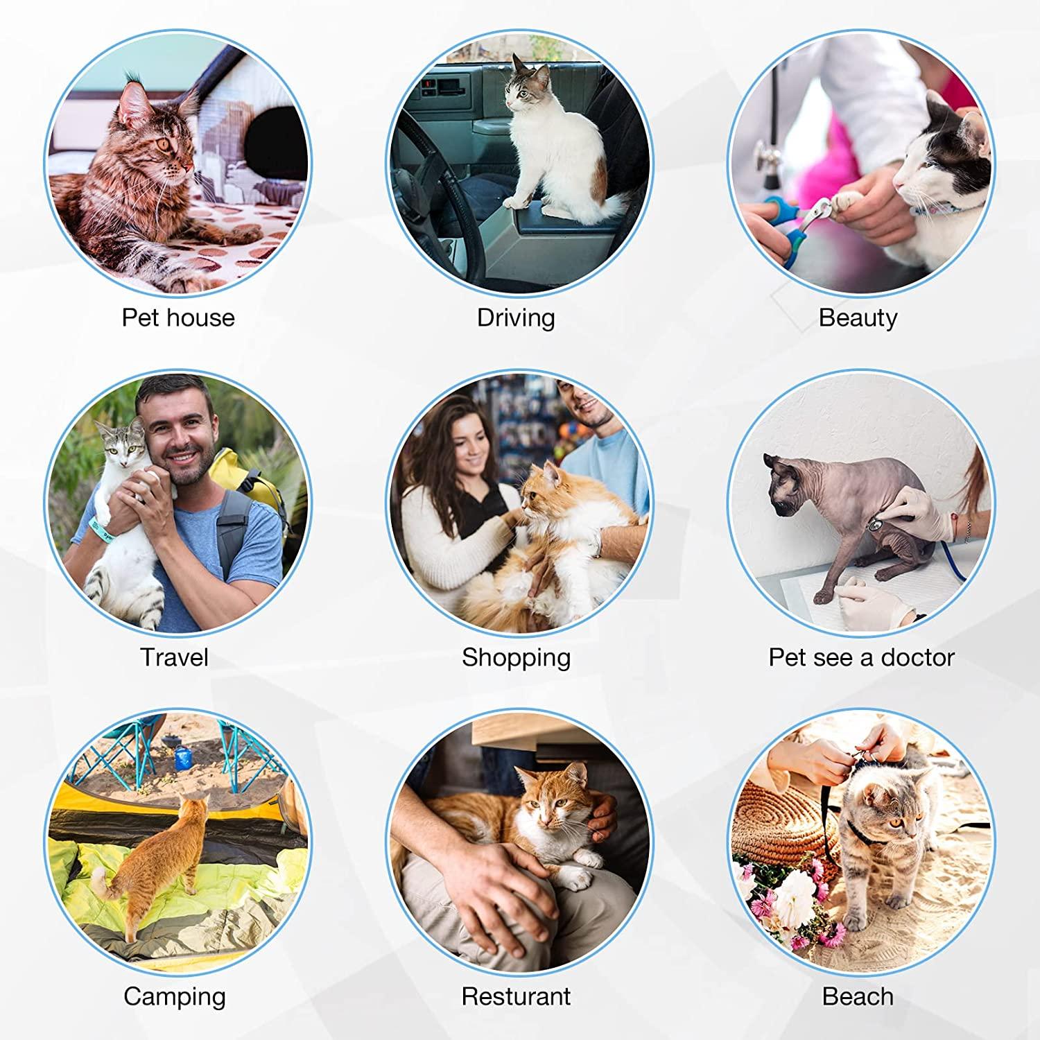 Pet carrier pad discount