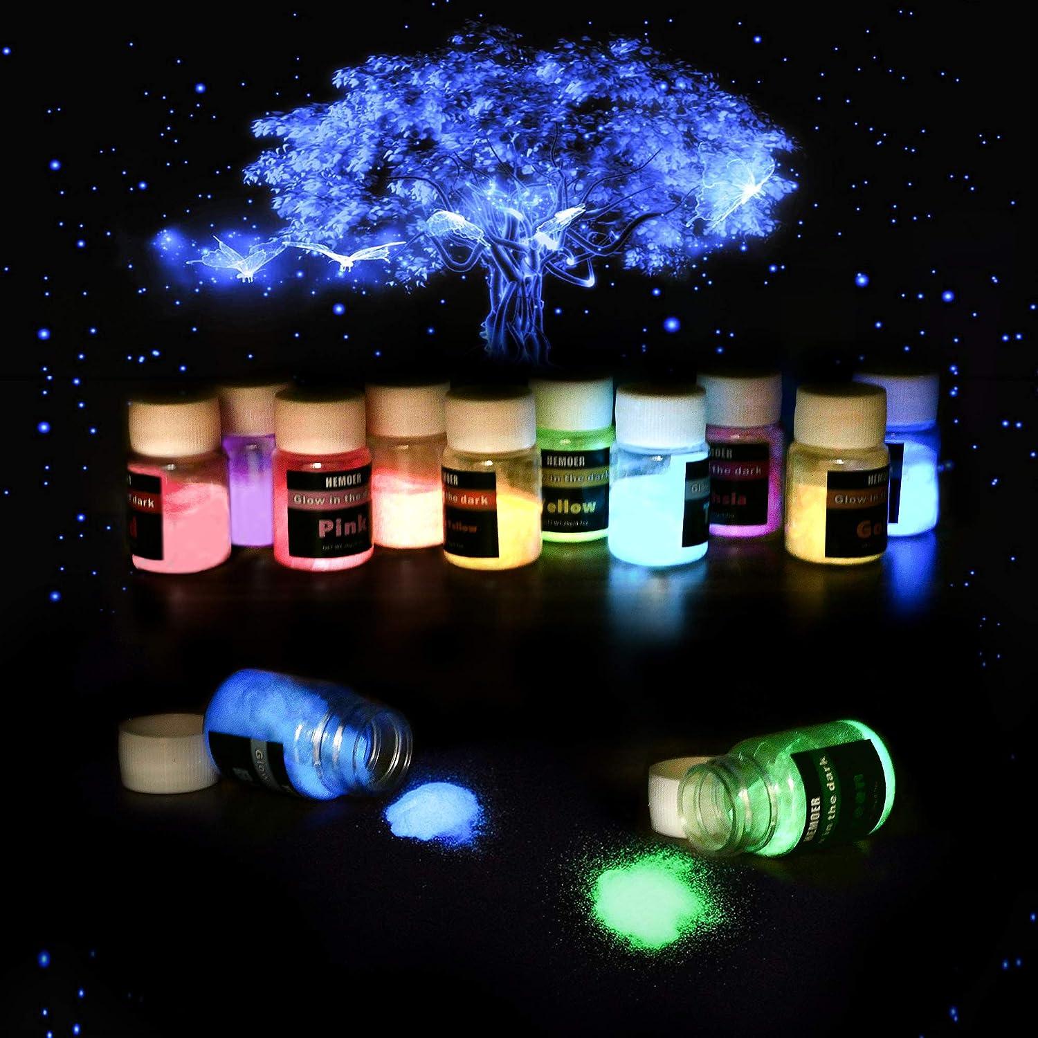 Glow in The Dark Pigment Powder,12 Colors Resin Dye Luminous Powder for  Epoxy Resin,Acrylic Paint,Slime,Nails,Halloween Party, Fine Art & DIY
