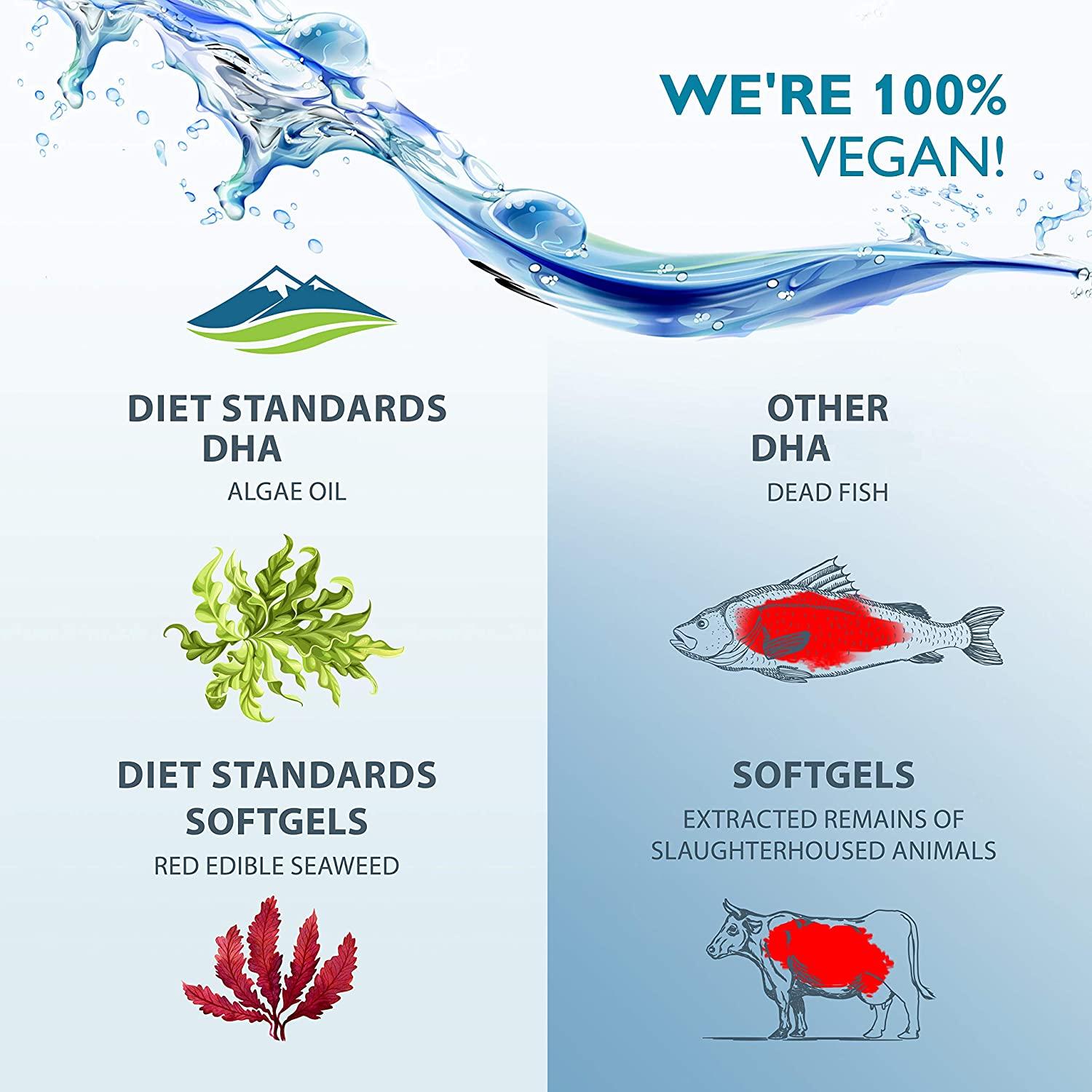 Diet Standards Vegetarian Prenatal DHA 100 Plant Based DHA Prenatal