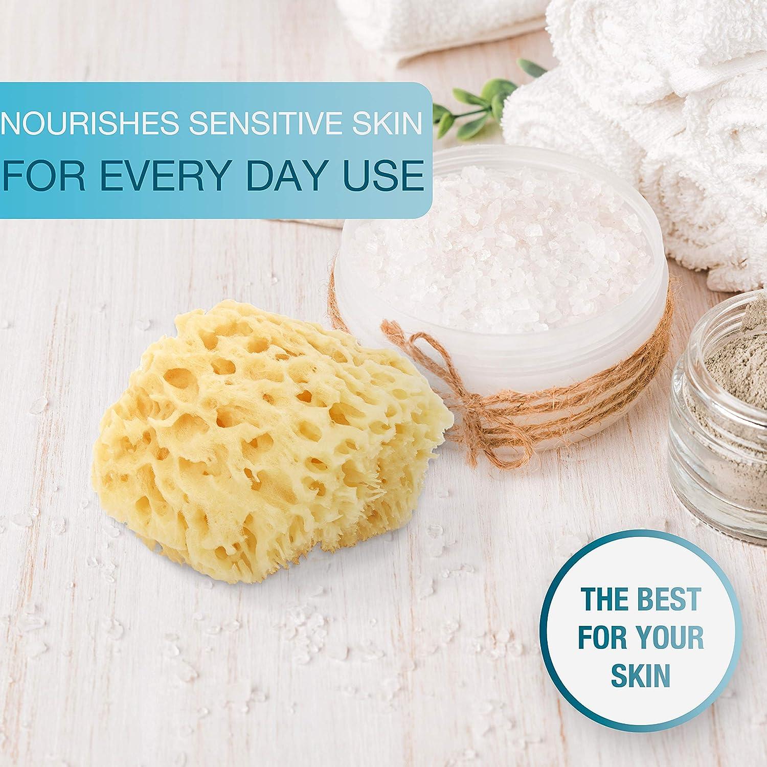 Sea Sponge for Bathing 100 Natural 4 (Large) Soft Sensitive and