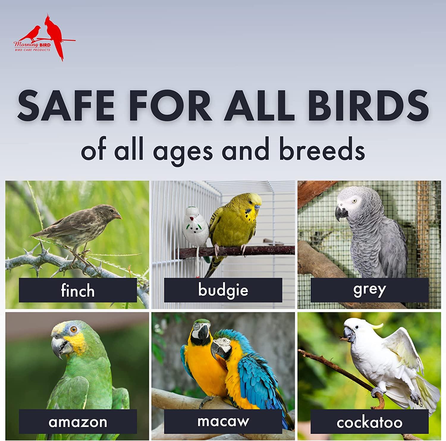 All Bird Products