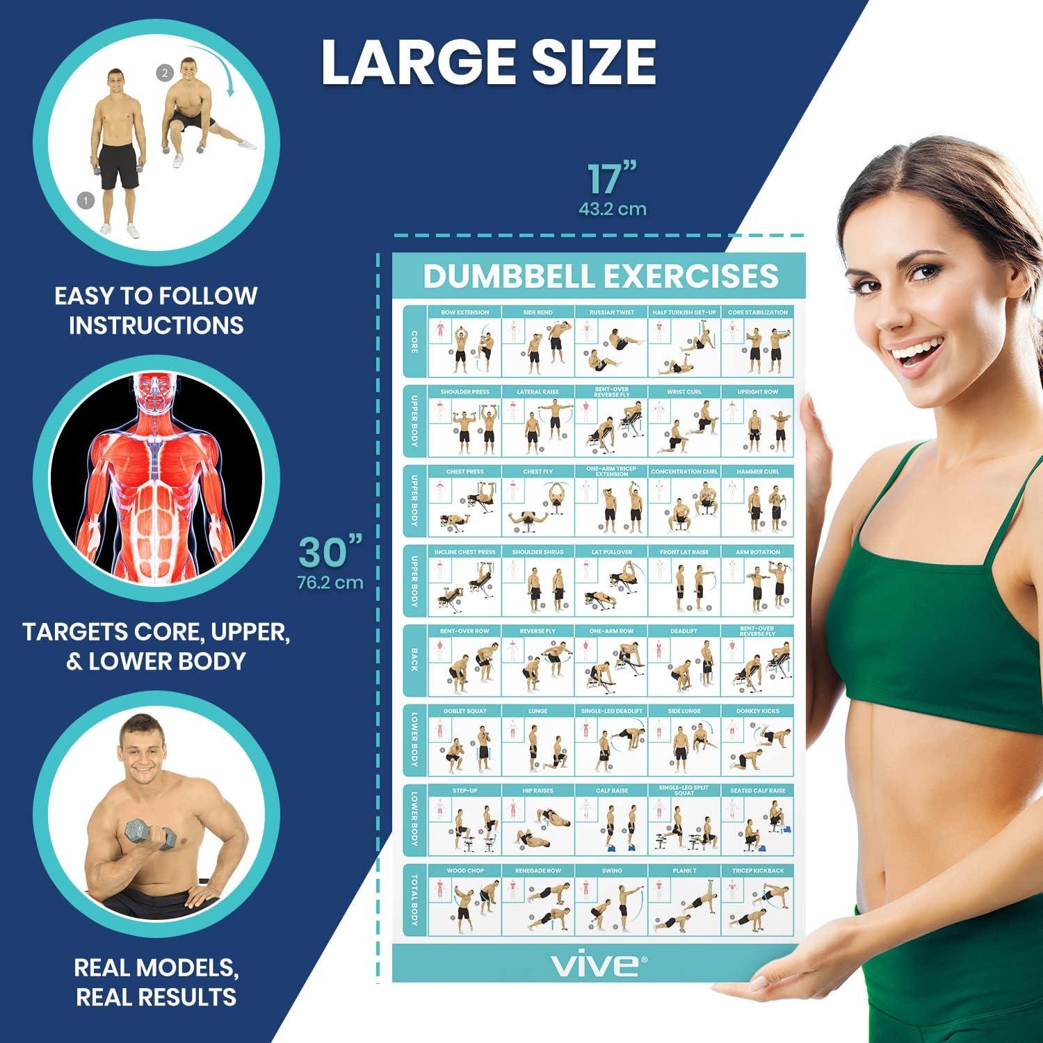 Dumbbell High Intensity Workout - Laminated Poster / Chart
