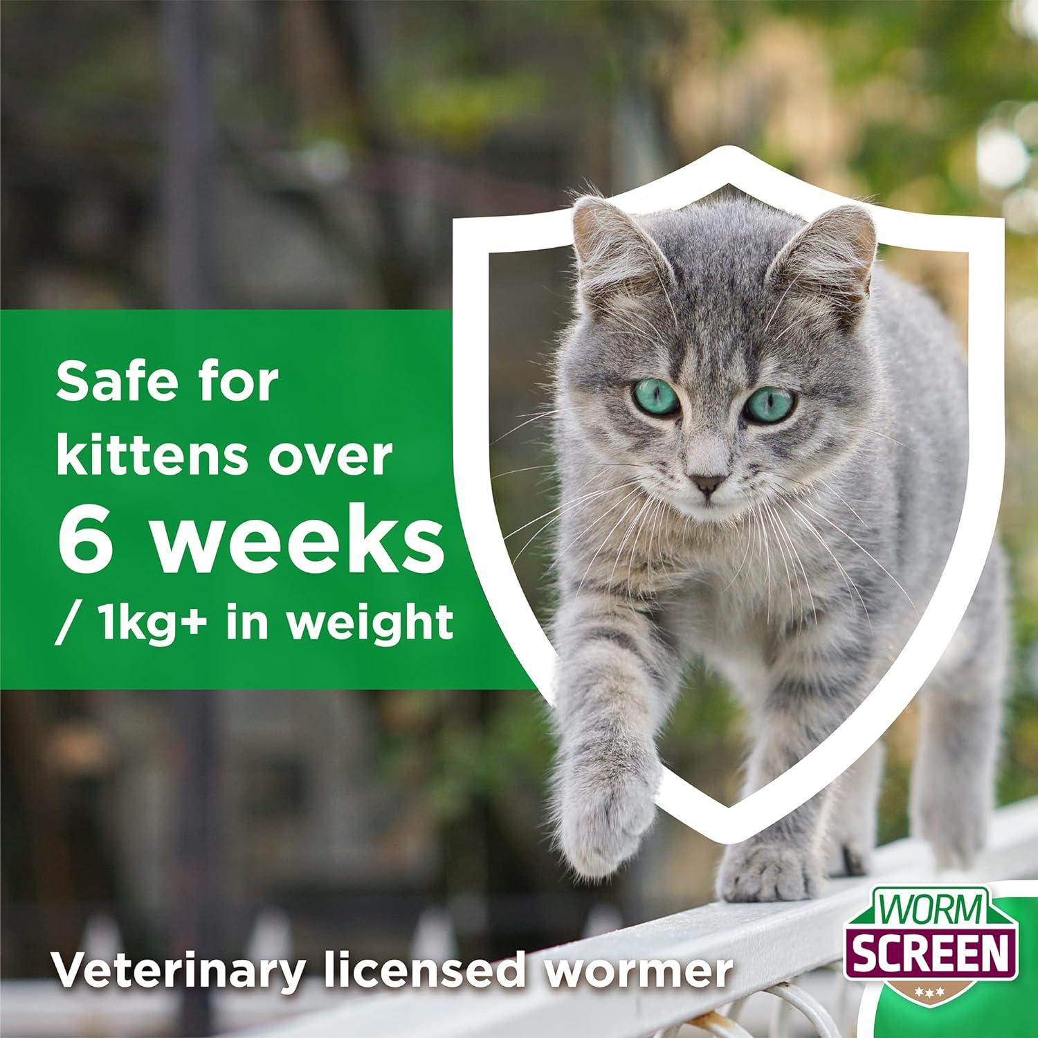 WORM SCREEN Cat (2 tablets) Cat Worming Treatment Veterinary