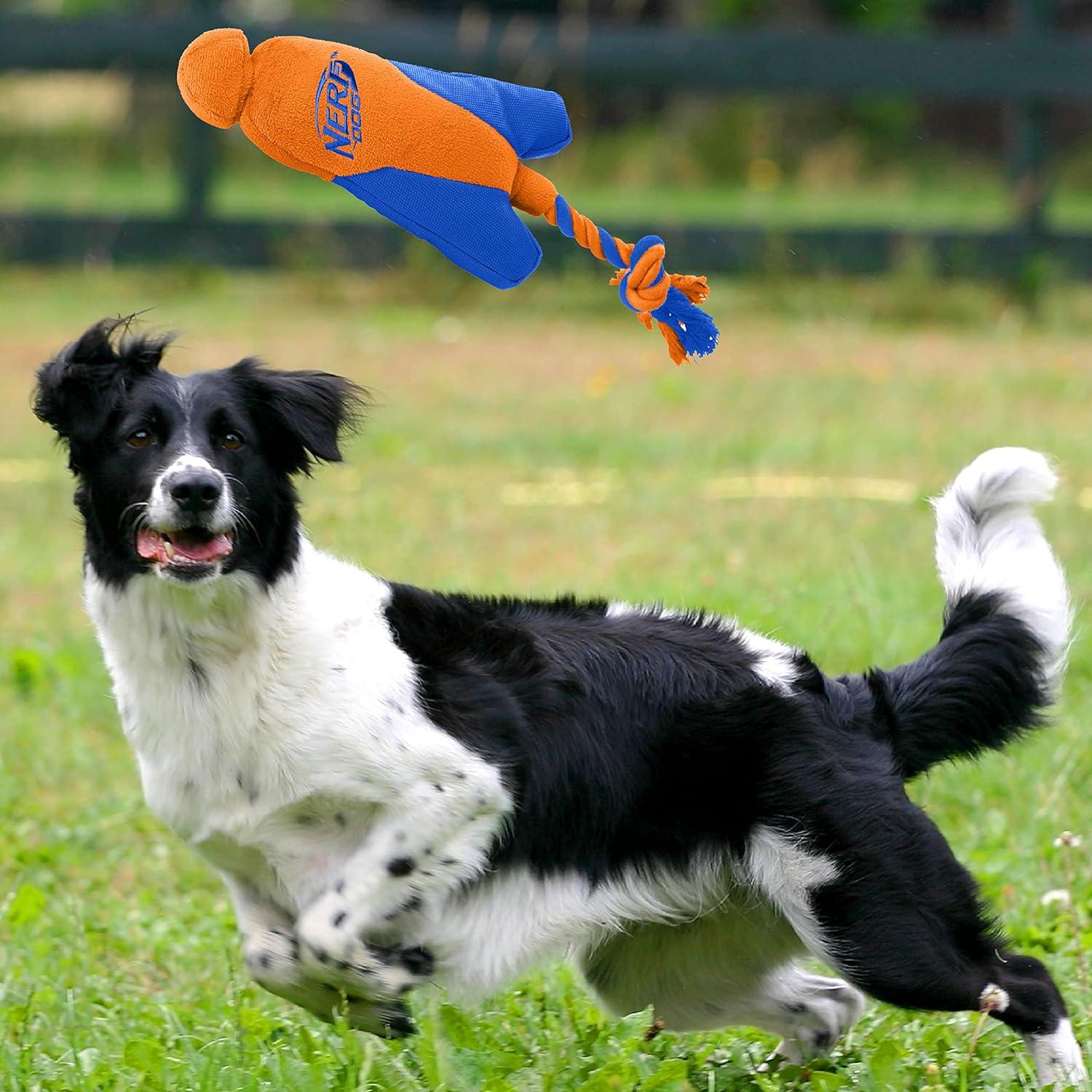 Nerf Dog Trackshot Arrowhead Launcher with Interactive Design