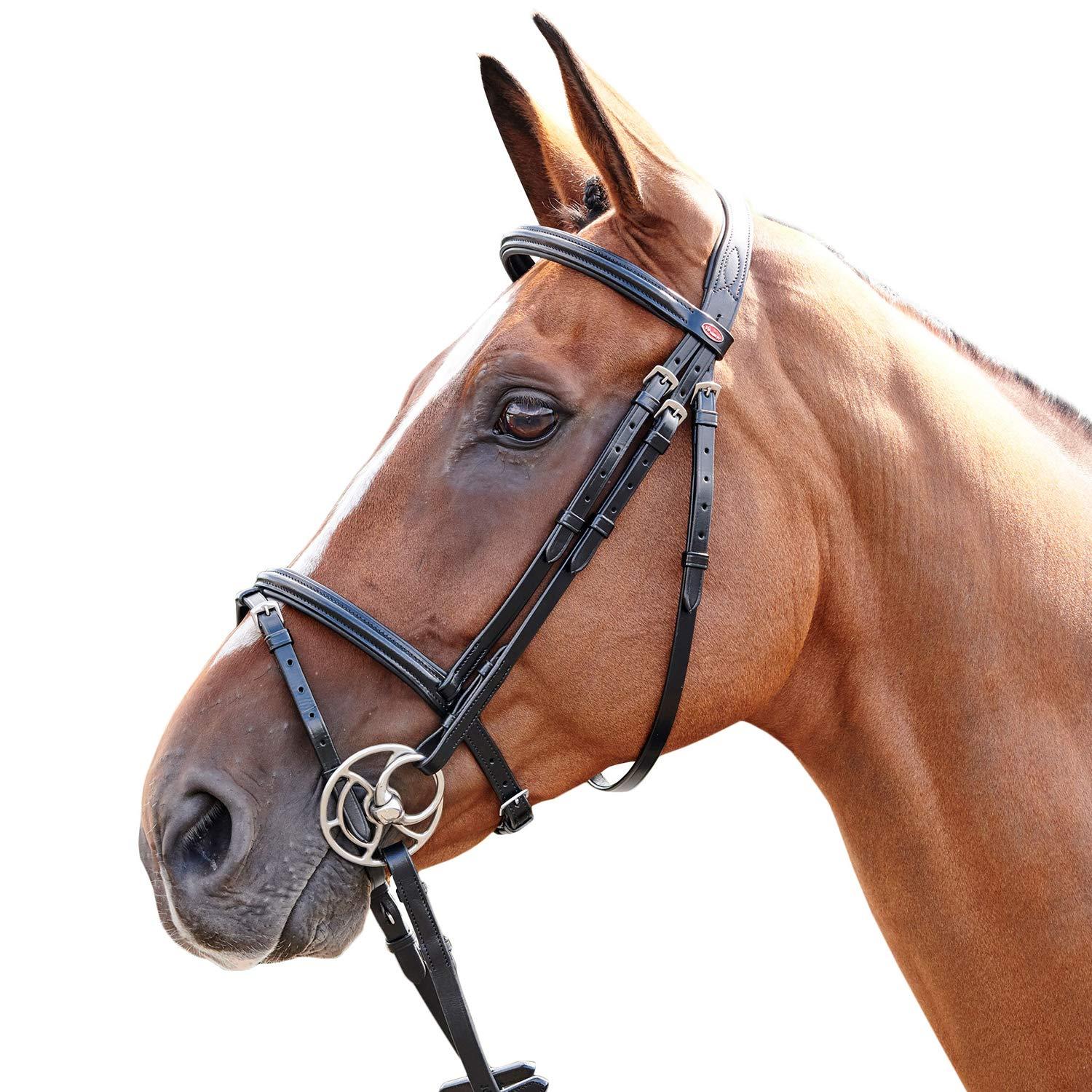 Whitaker Martingale de cheval en cuir Barton, Noir, Plein