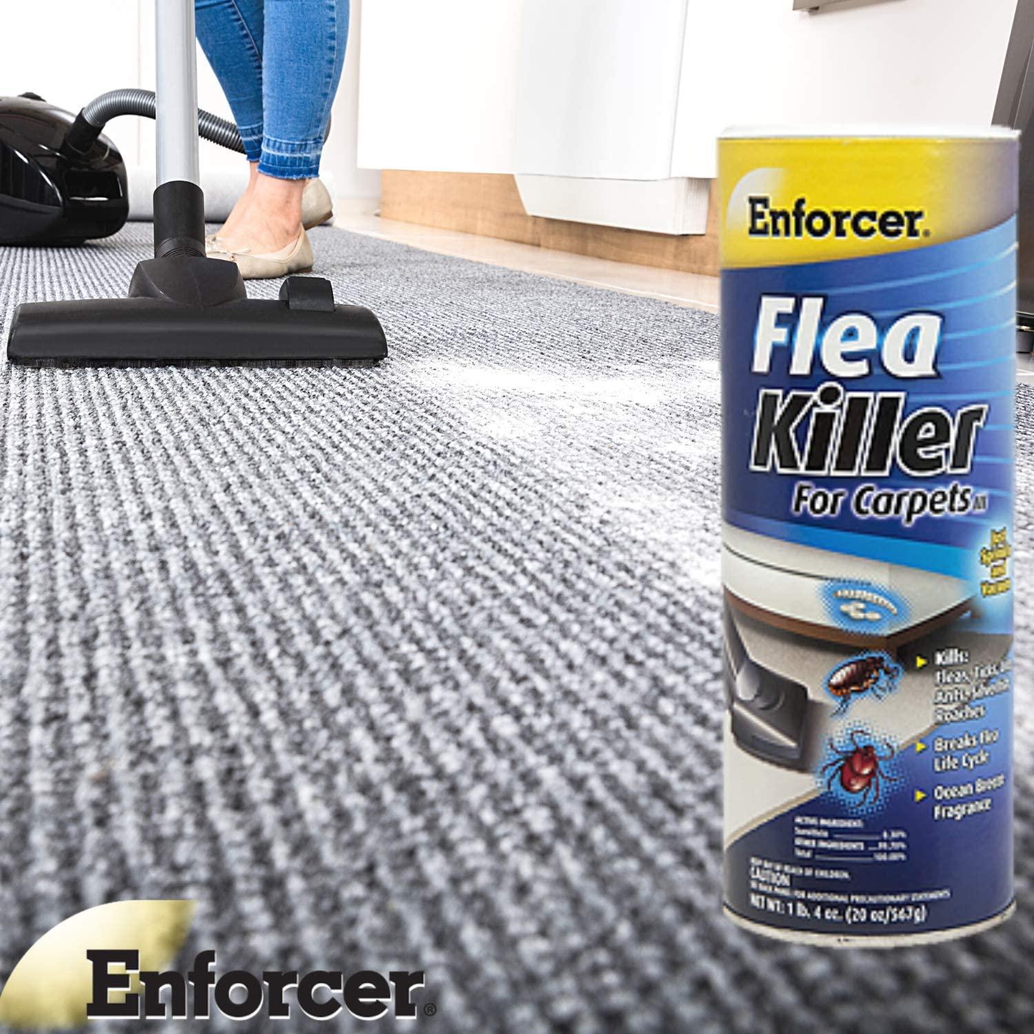 Enforcer Flea Killer for Carpets 20 Ounce Pack of 2 EFKOB203