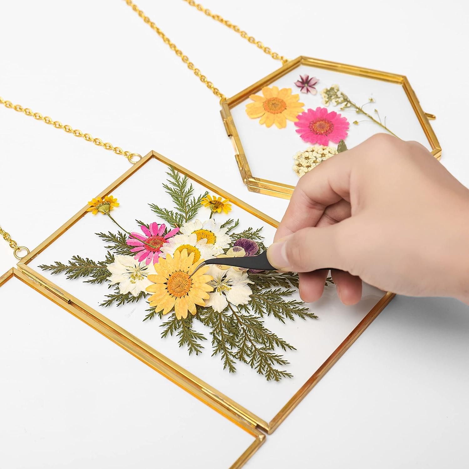 Double Glass Frame for Pressed Flowers - w/Real Dried Flowers and Tweezer - Pressed  Flower Frames for Handicrafts Pressed Flower Photo or Other Small Flat Items