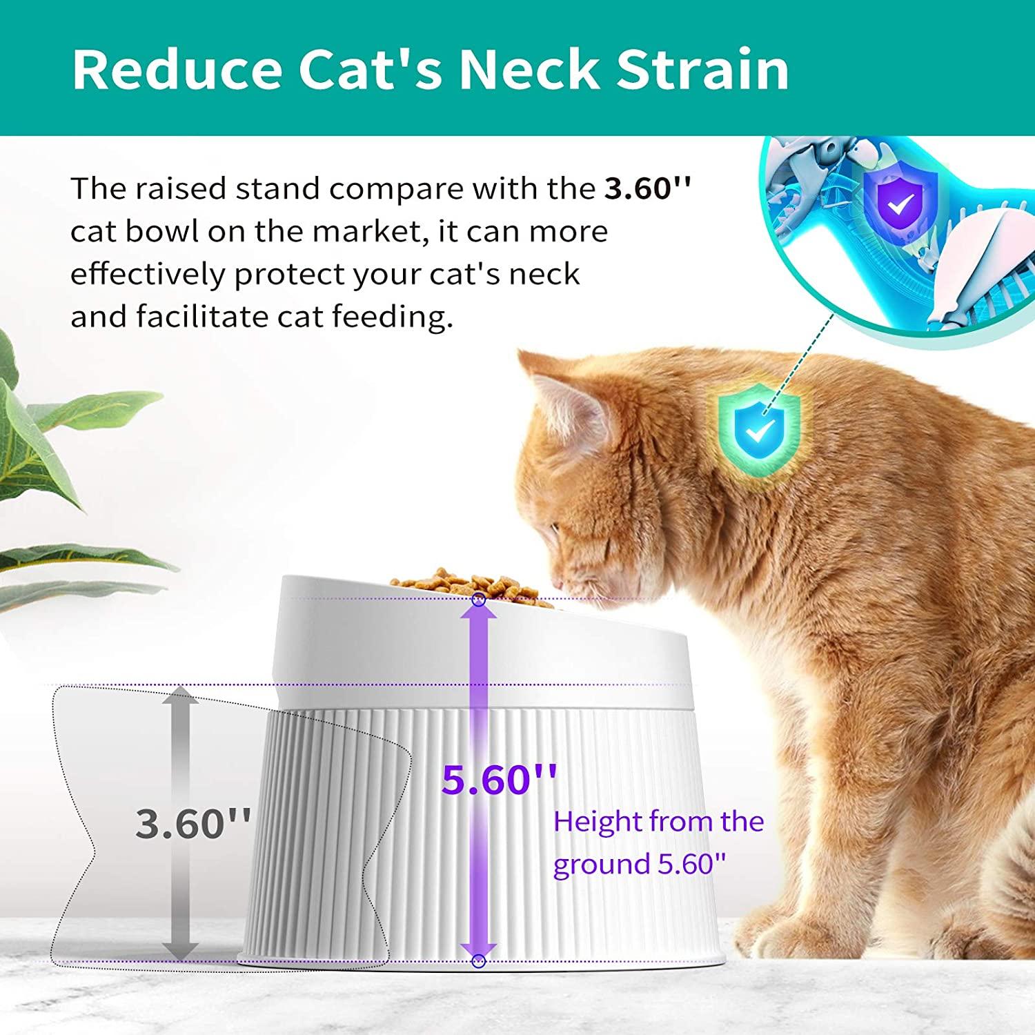 Elevated Cat Food Bowls with Silicone Feeding Mat for Cats, Kittens, Small  Dogs - Anti-Stress Raised Stainless Steel Pet Bowl Dishwasher-Safe Food 