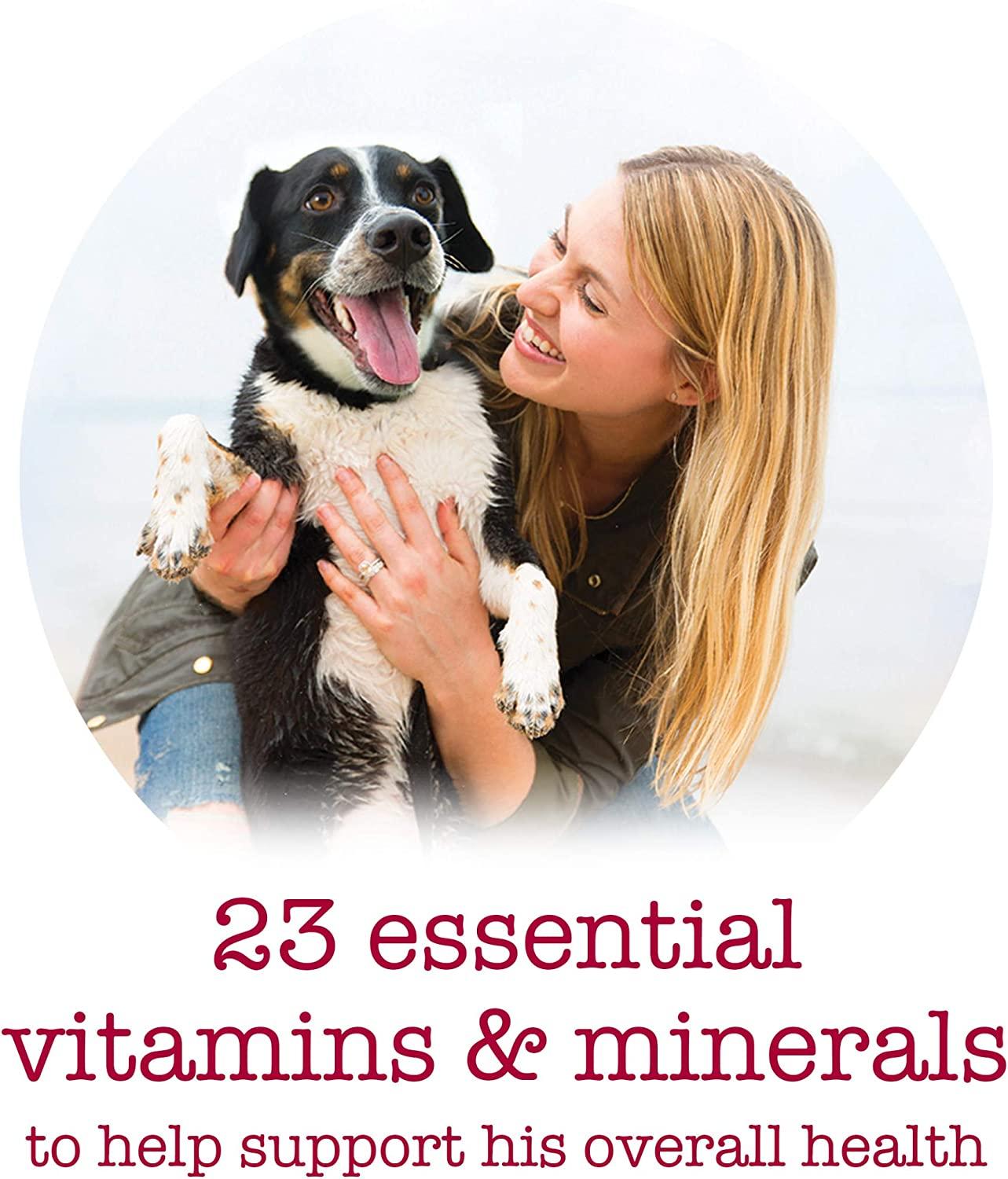 Purina beneful medleys dog food sales variety pack