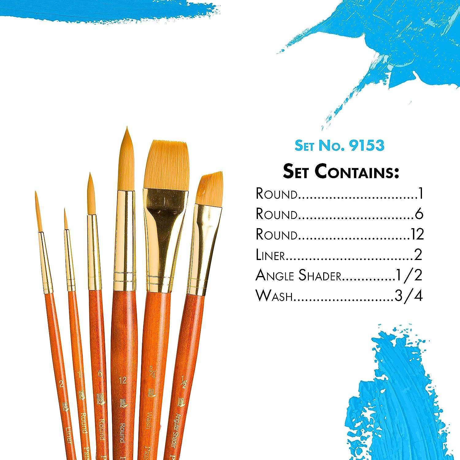 Princeton Real Value Series 9100 Paint Brush Sets for Acrylic Oil &  Watercolor Painting Syn-Gold Taklon (Rnd 1 6 12 Liner 2 ANG Shader 1/2 Wash  3/4)