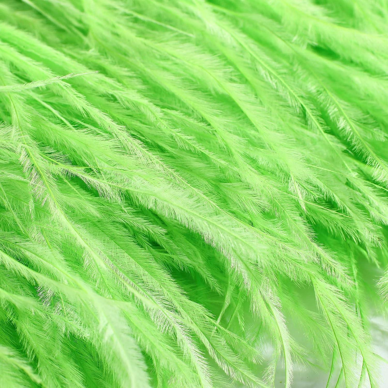 10 Yards 4-6″ Dark Green Natural Ostrich Feathers Trim