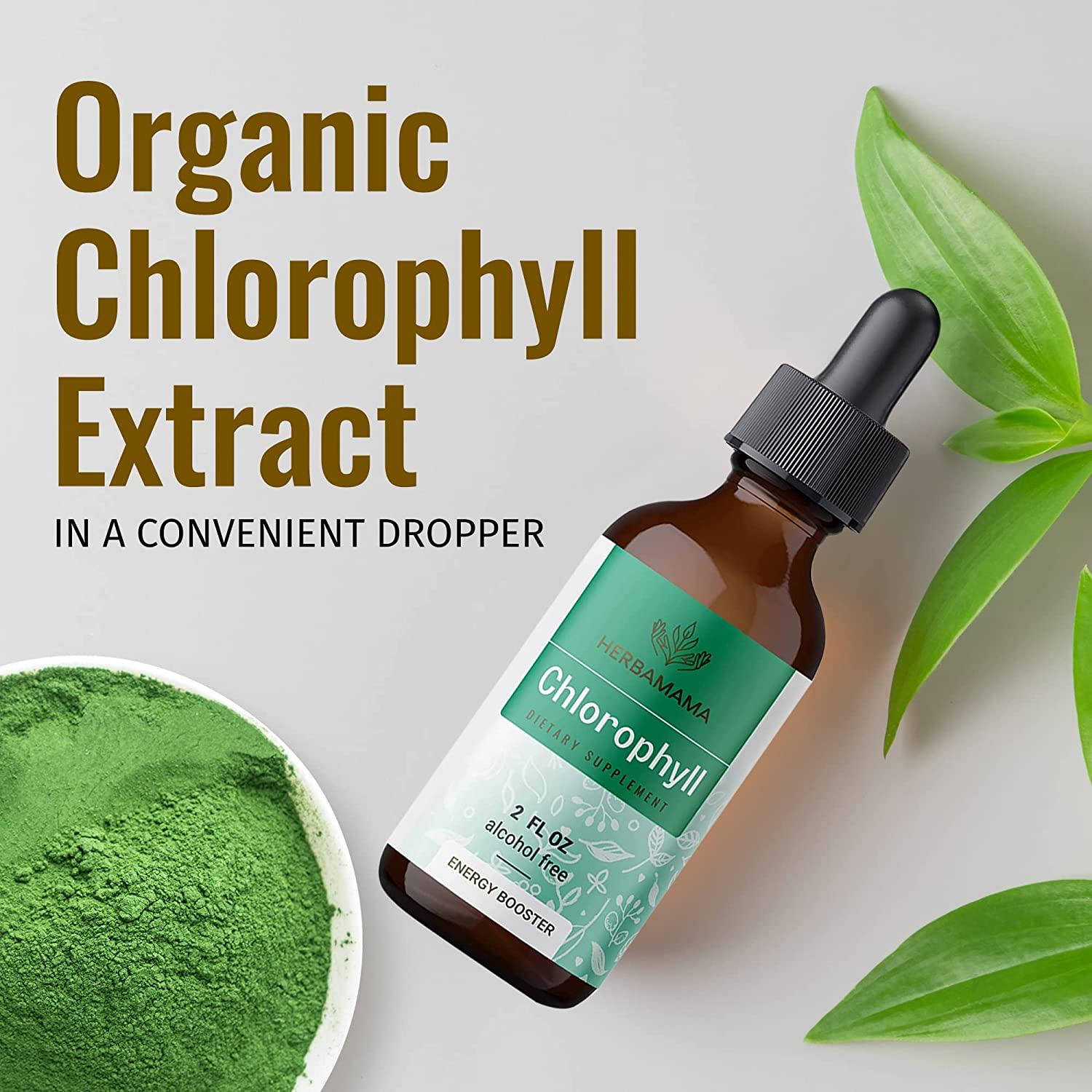 HERBAMAMA Chlorophyll Liquid Drops Energy Booster for Digestion