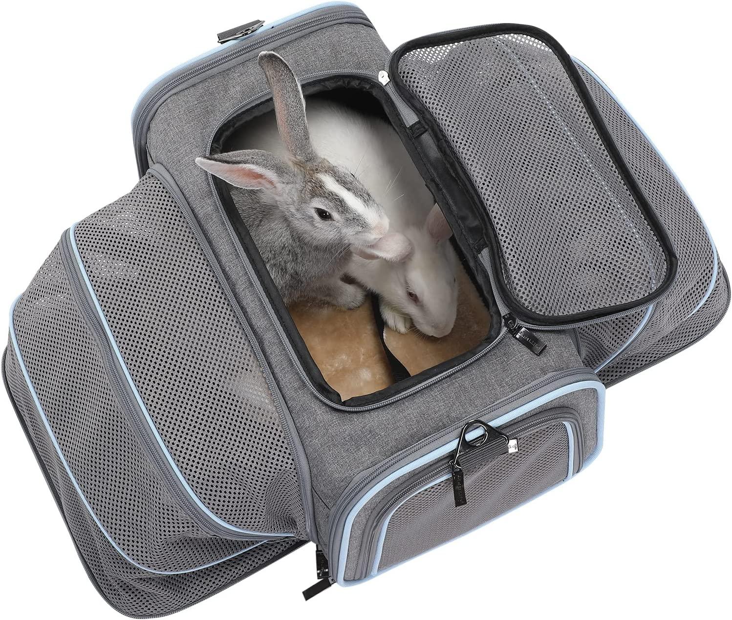 Petsfit Expandable Cat Carrier Dog Carrier,Airline Approved Soft-Sided  Portable Pet Travel Washable Carrier for Kittens,Puppies,Removable Soft  Plush mat and Pockets S:16x10x9 Light Grey