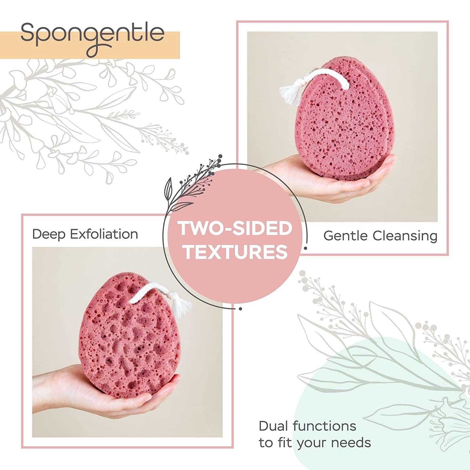 Loofah Color Code In The Villages - p803uk0